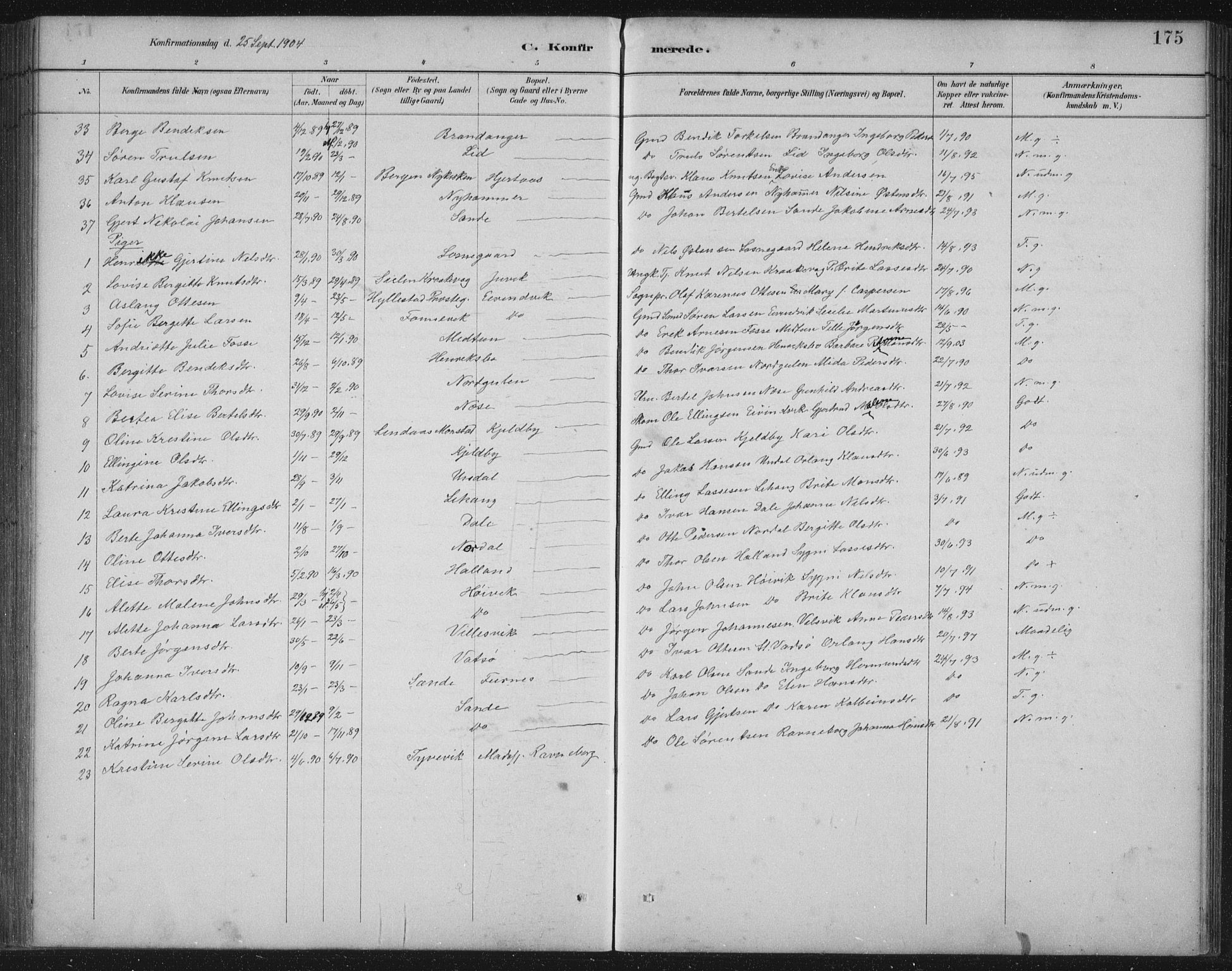 Gulen sokneprestembete, AV/SAB-A-80201/H/Hab/Habb/L0003: Parish register (copy) no. B 3, 1884-1907, p. 175