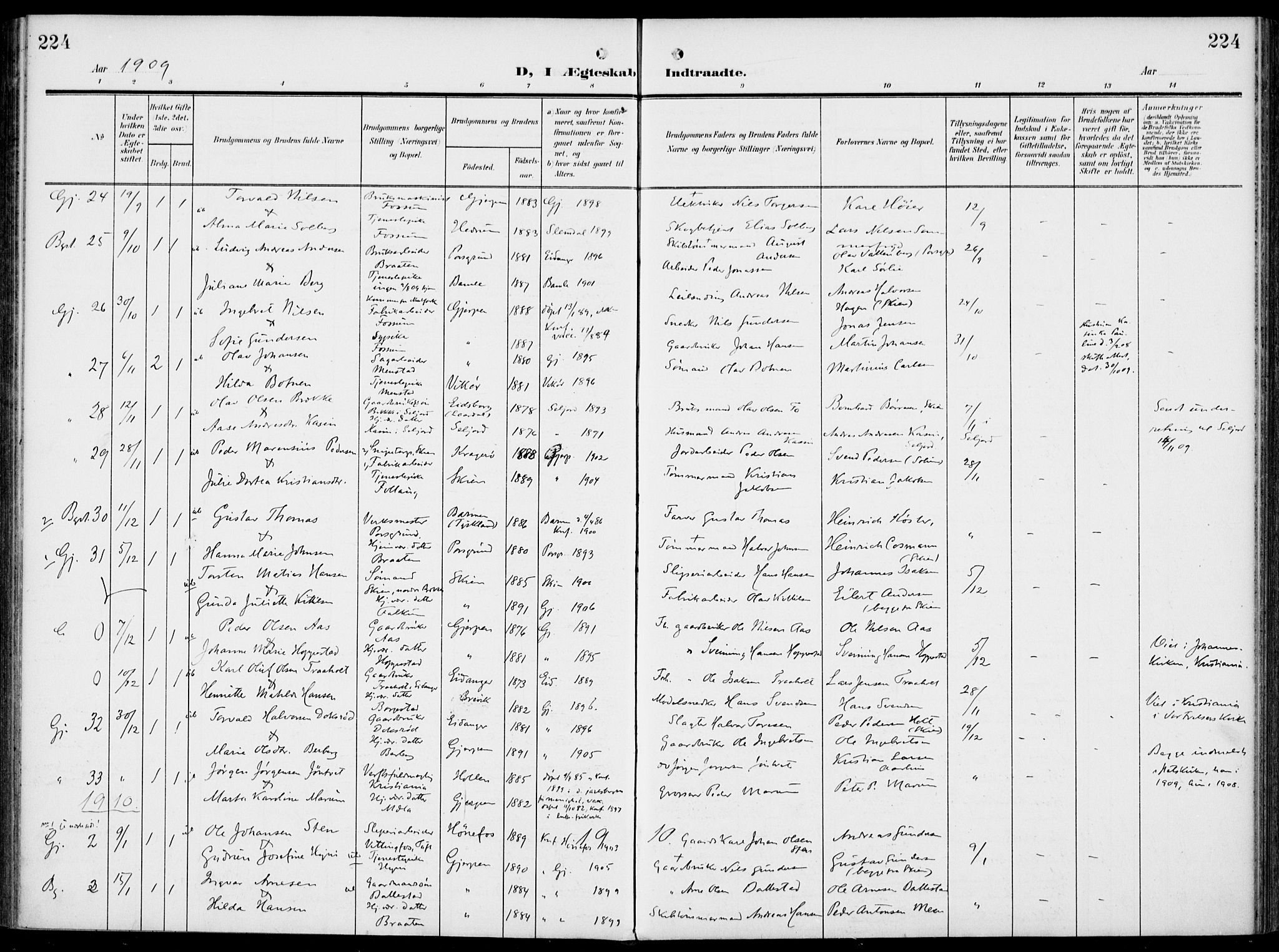 Gjerpen kirkebøker, SAKO/A-265/F/Fa/L0012: Parish register (official) no. I 12, 1905-1913, p. 224