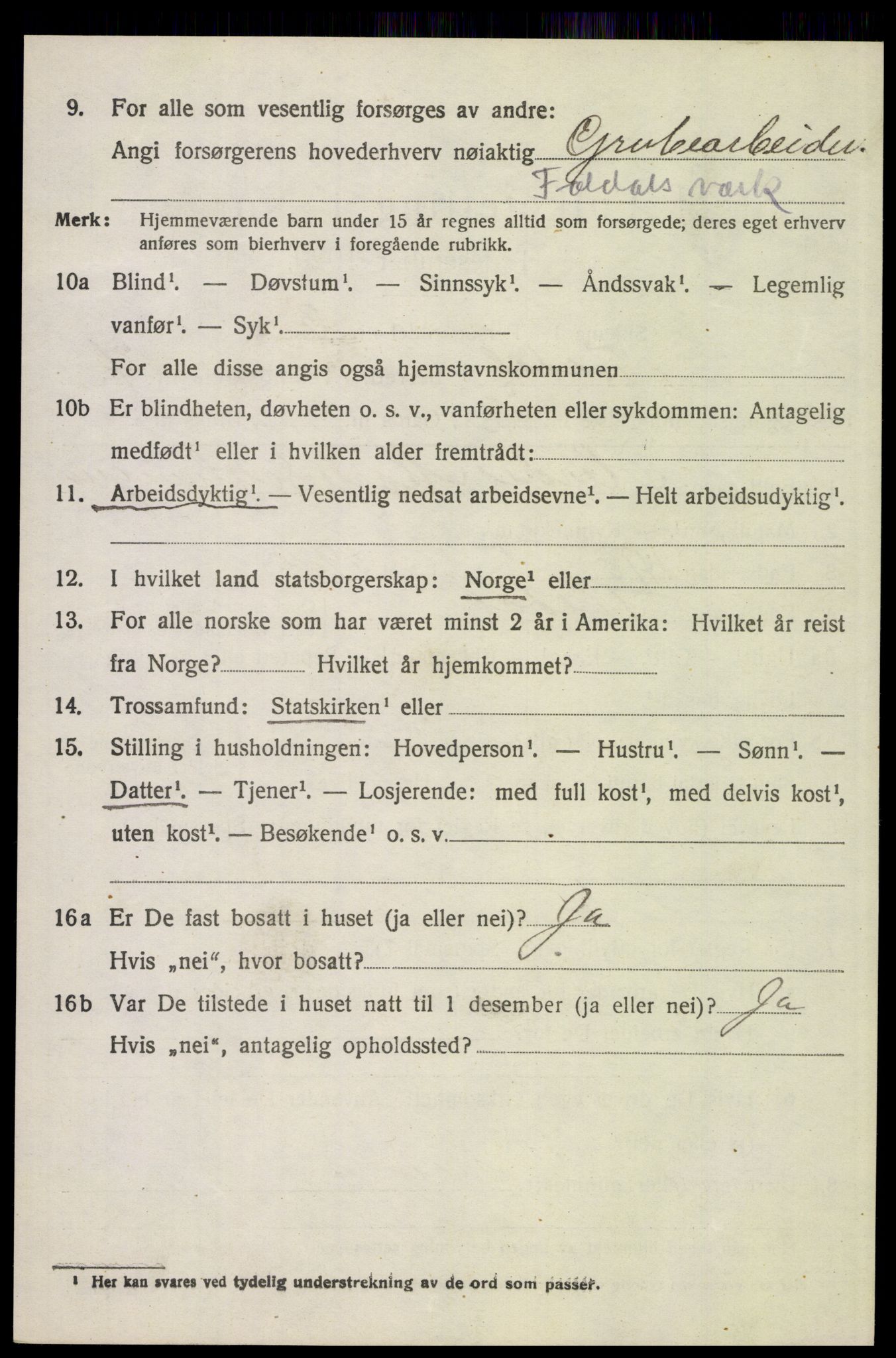 SAH, 1920 census for Folldal, 1920, p. 4338