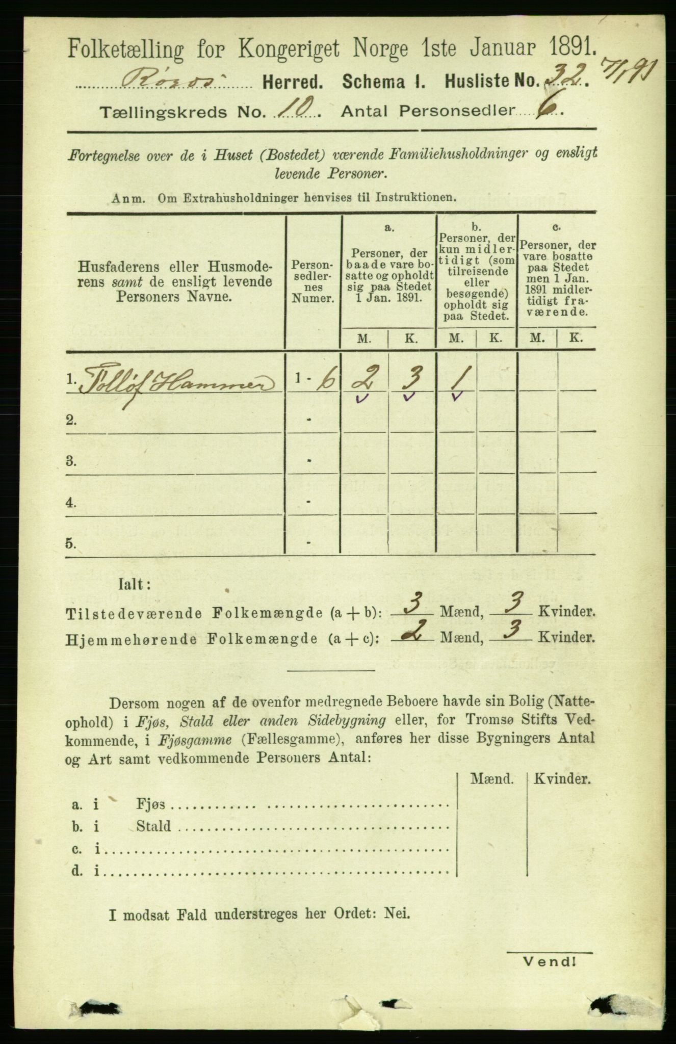 RA, 1891 census for 1640 Røros, 1891, p. 2015