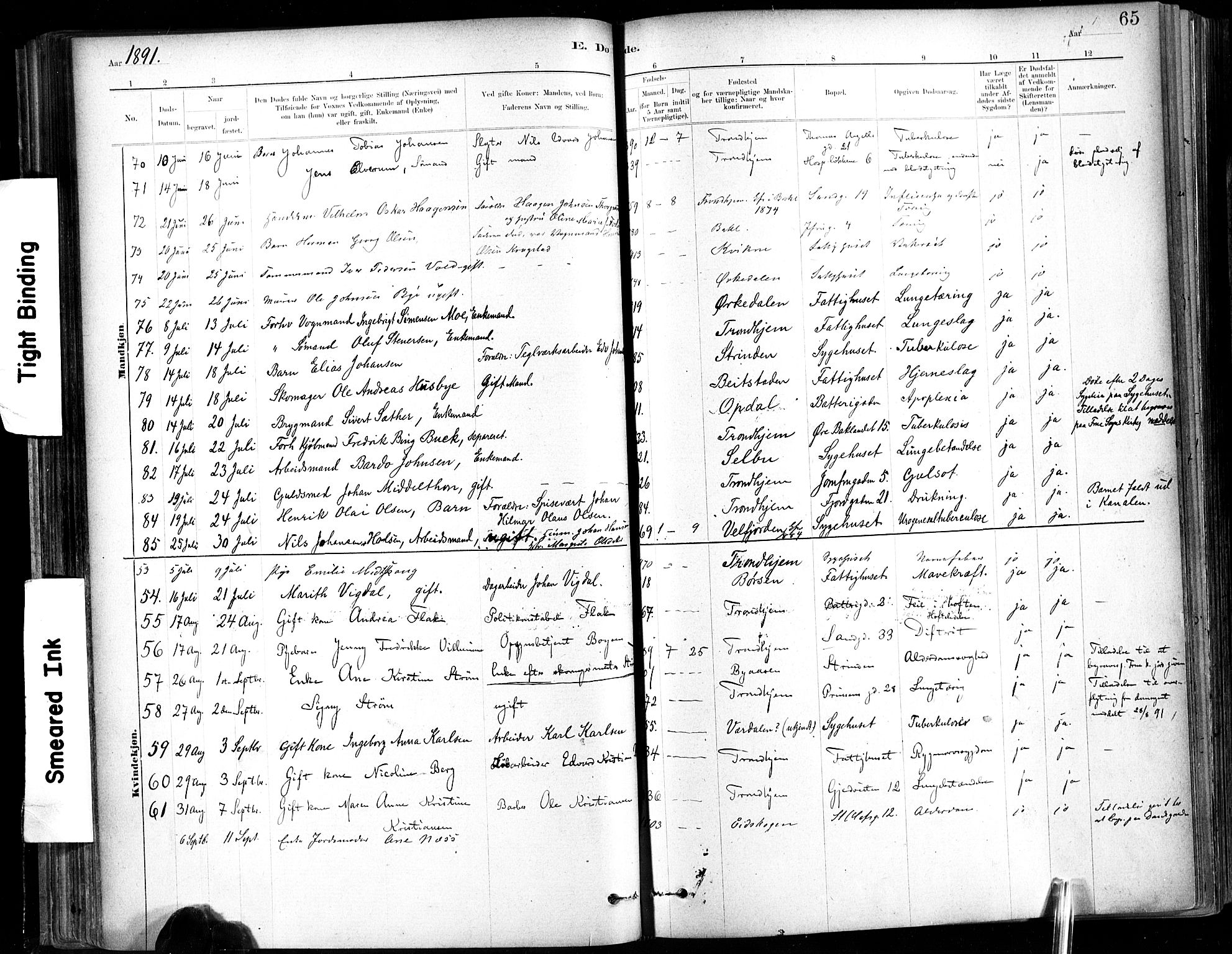 Ministerialprotokoller, klokkerbøker og fødselsregistre - Sør-Trøndelag, AV/SAT-A-1456/602/L0120: Parish register (official) no. 602A18, 1880-1913, p. 65