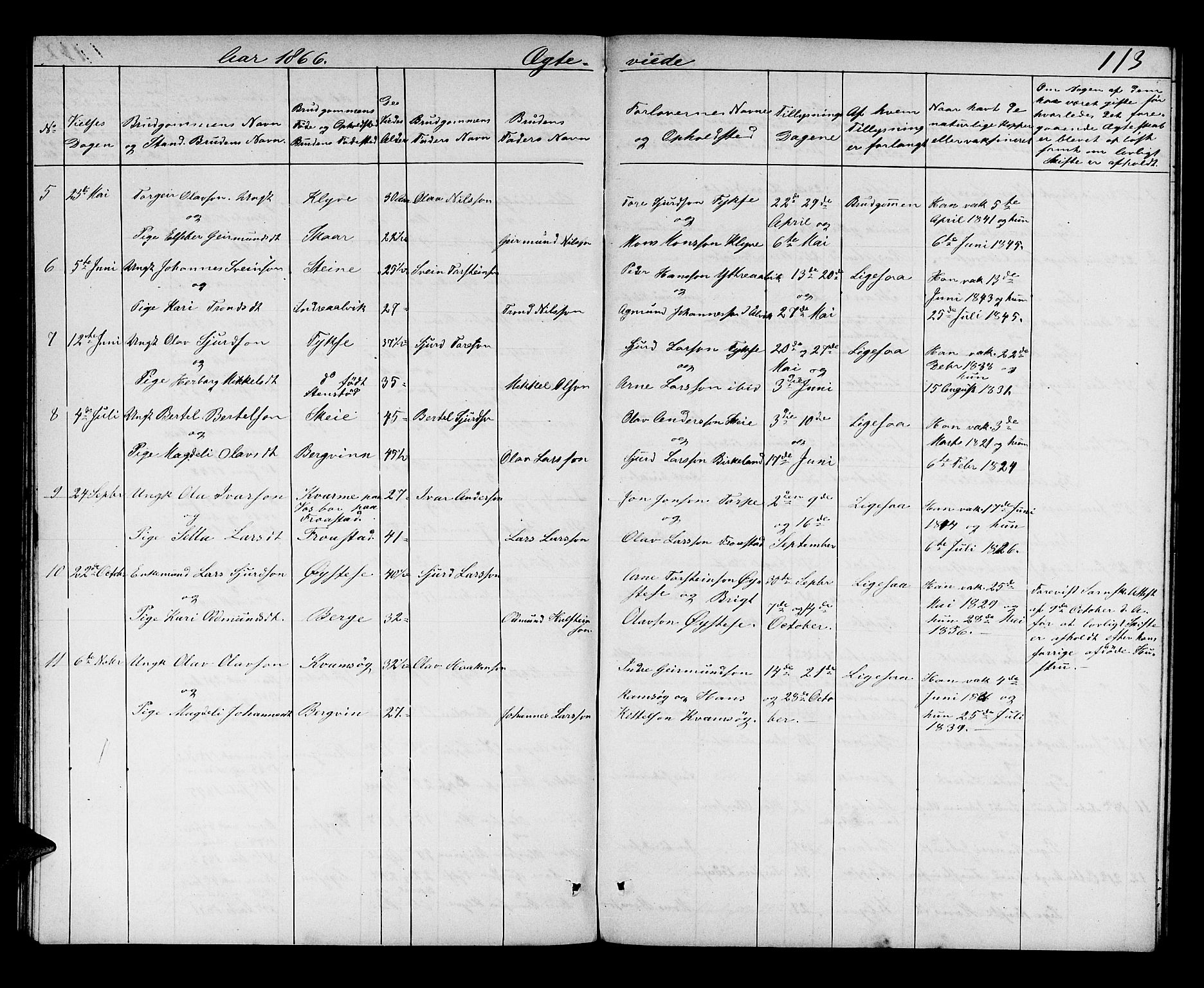 Kvam sokneprestembete, AV/SAB-A-76201/H/Hab: Parish register (copy) no. C 2, 1863-1880, p. 113