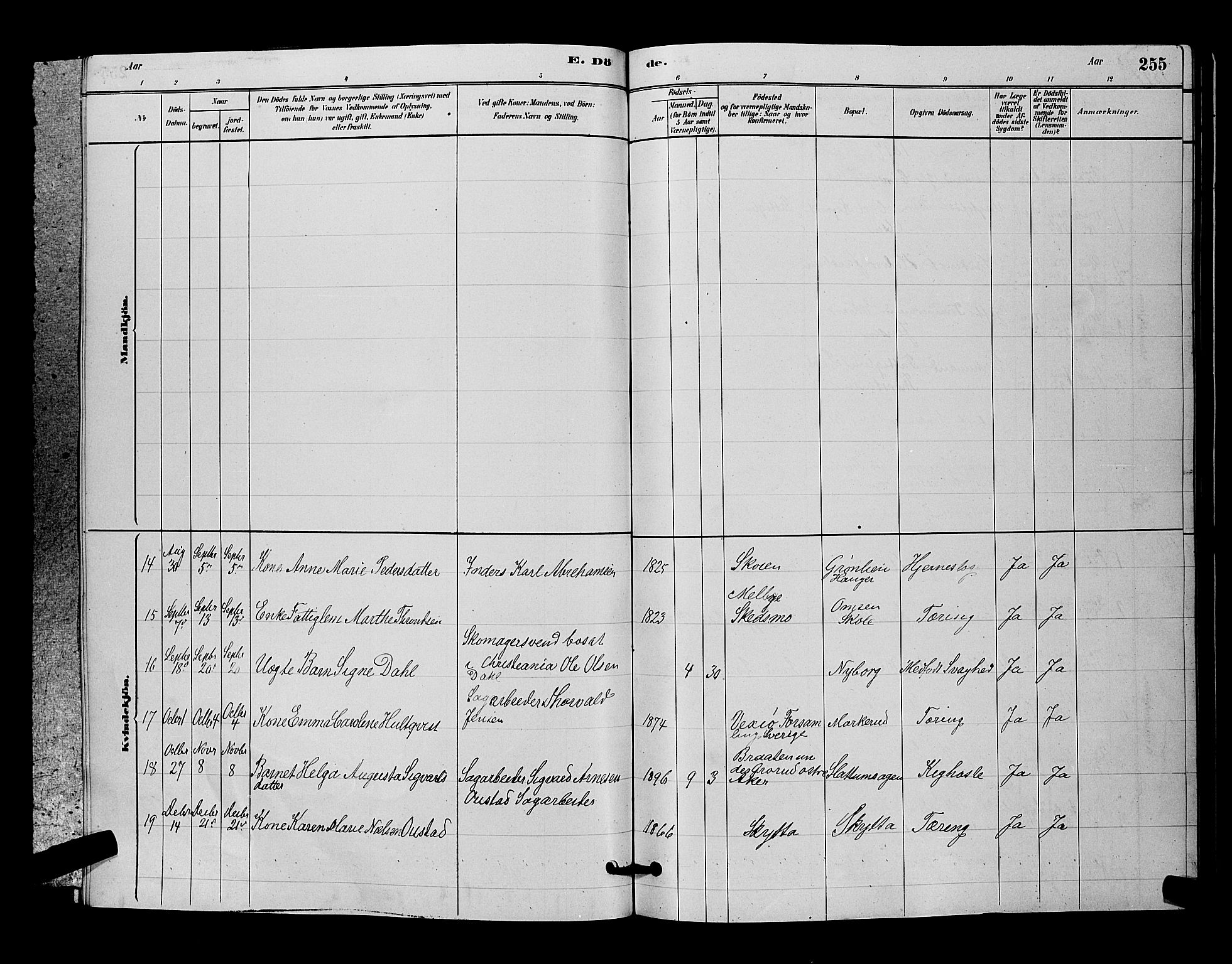 Nittedal prestekontor Kirkebøker, SAO/A-10365a/G/Ga/L0002: Parish register (copy) no. I 2, 1879-1901, p. 255