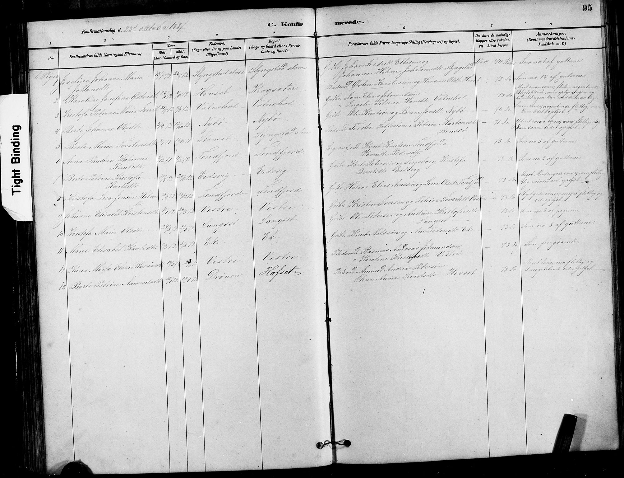 Ministerialprotokoller, klokkerbøker og fødselsregistre - Møre og Romsdal, AV/SAT-A-1454/525/L0376: Parish register (copy) no. 525C02, 1880-1902, p. 95