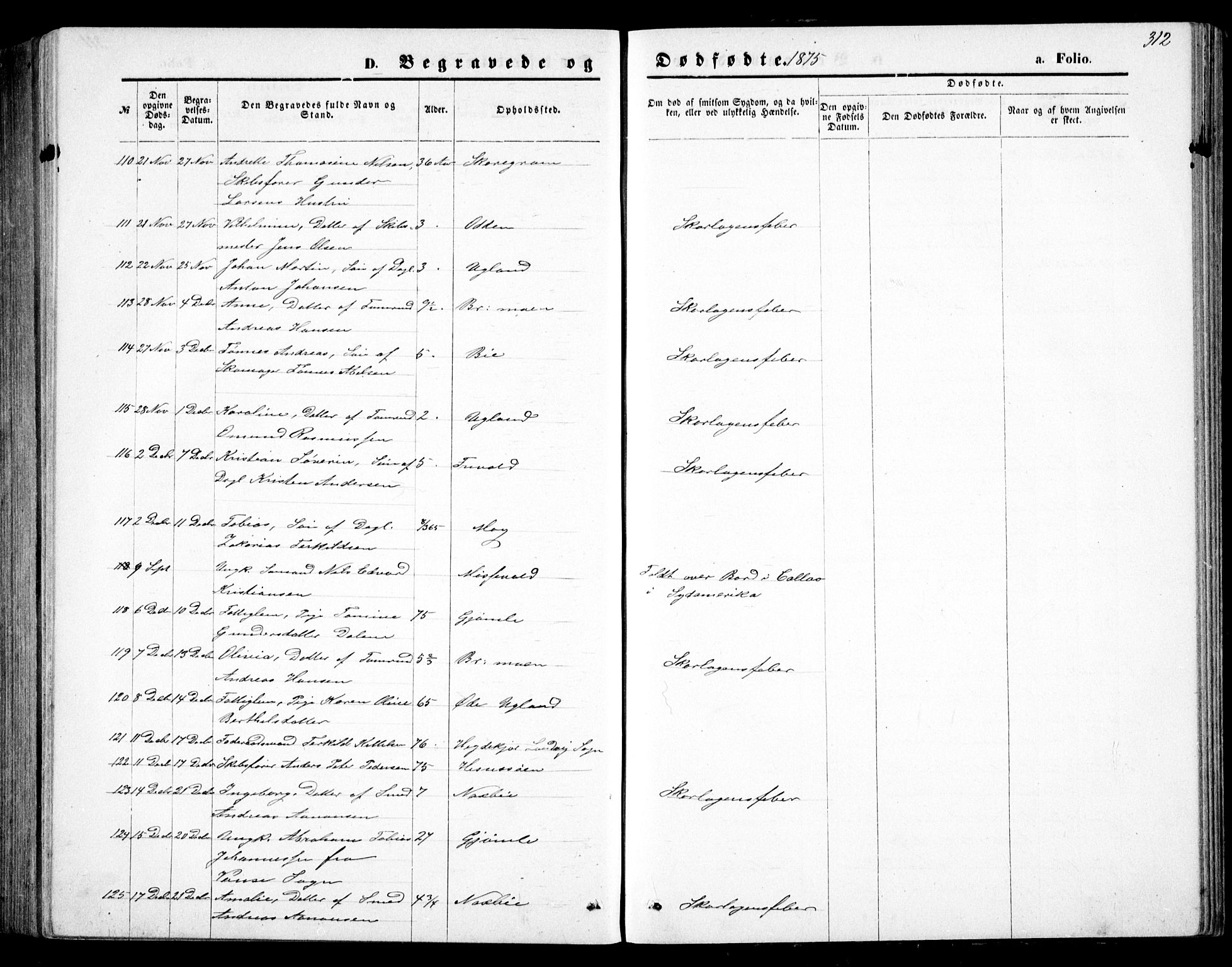 Fjære sokneprestkontor, AV/SAK-1111-0011/F/Fb/L0010: Parish register (copy) no. B 10, 1871-1880, p. 312