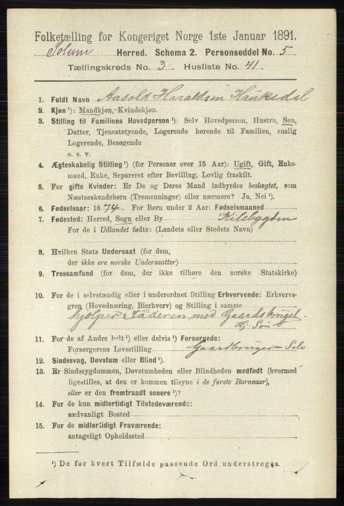 RA, 1891 census for 0818 Solum, 1891, p. 579