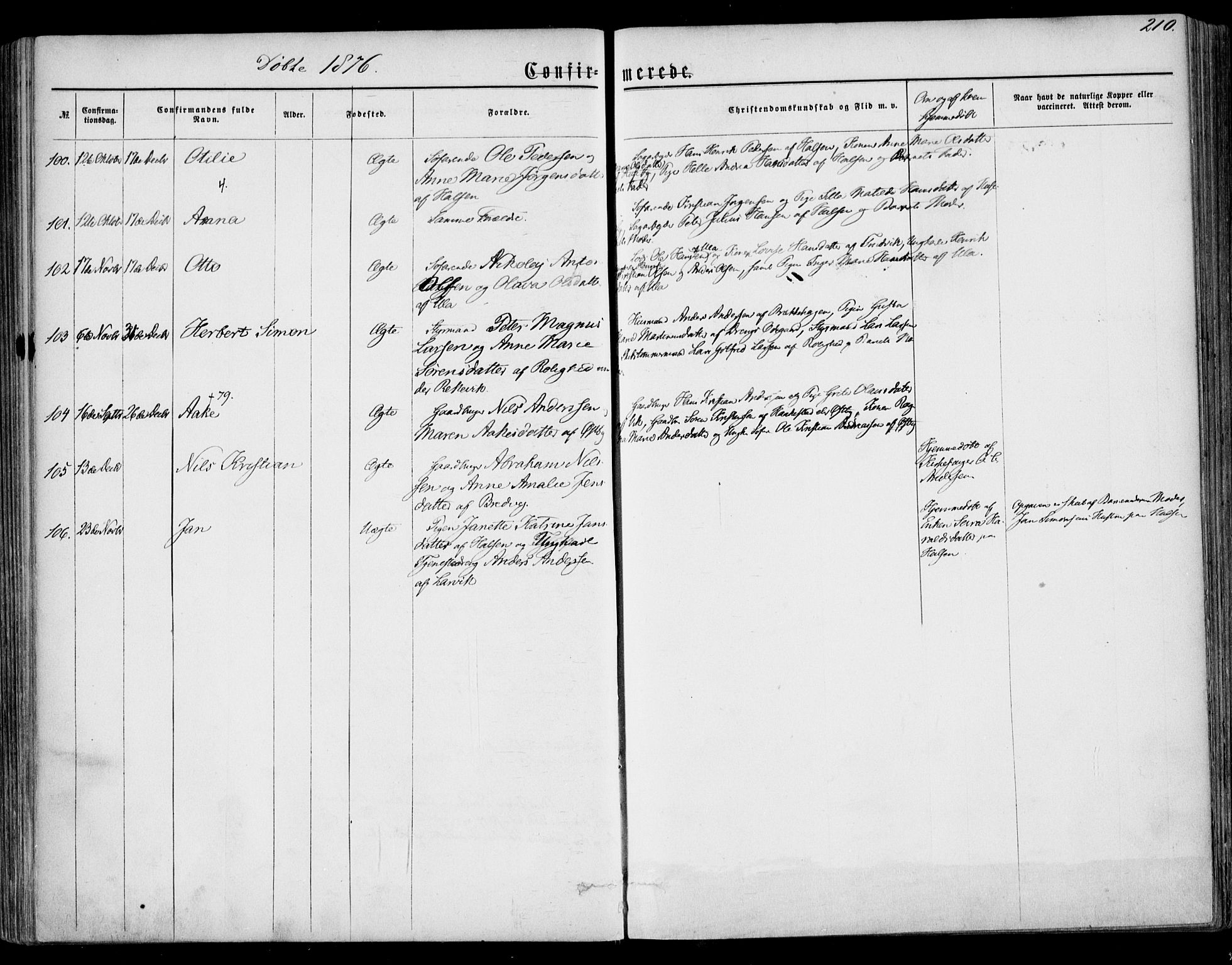 Tjølling kirkebøker, SAKO/A-60/F/Fa/L0007: Parish register (official) no. 7, 1860-1876, p. 210