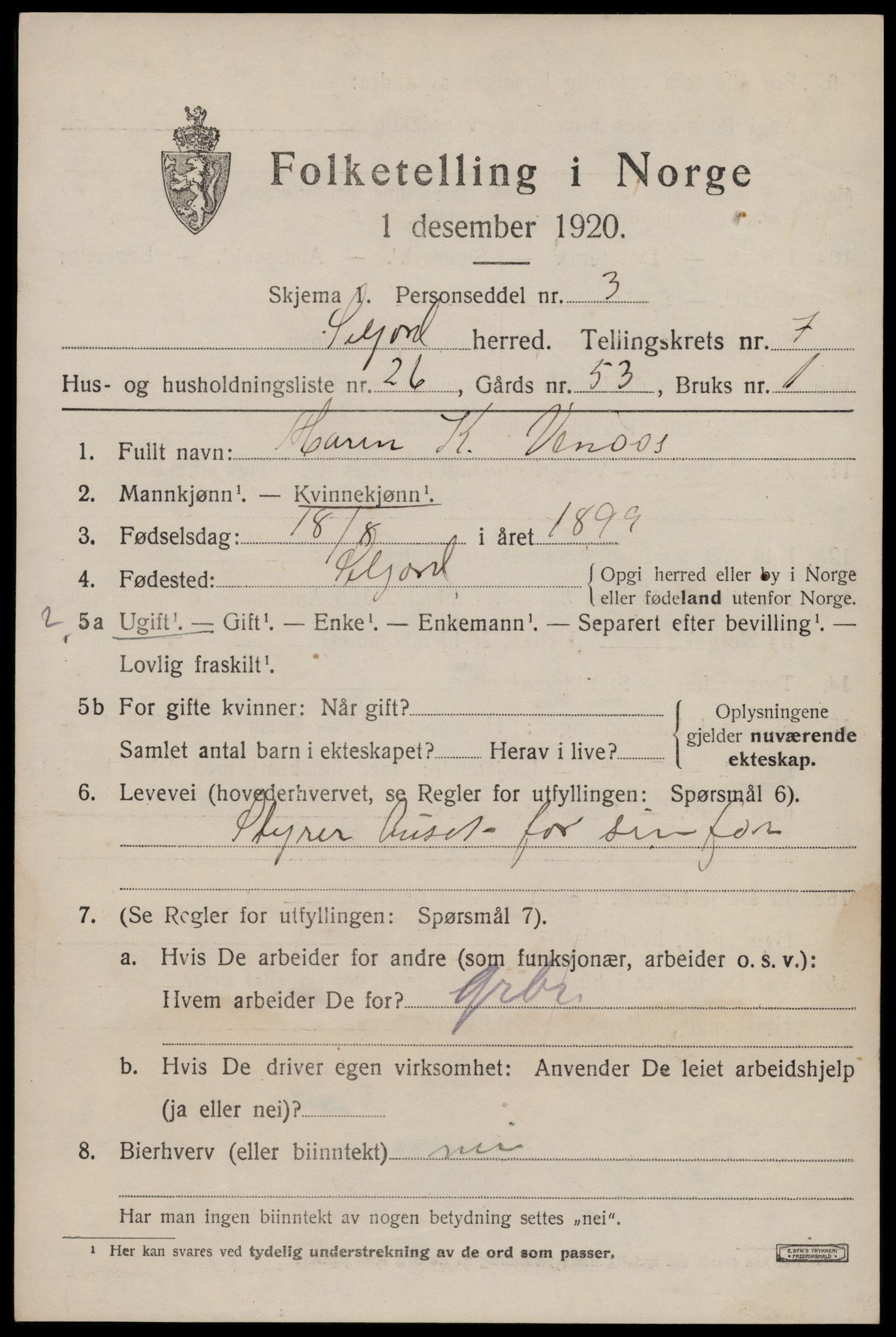 SAKO, 1920 census for Seljord, 1920, p. 3882