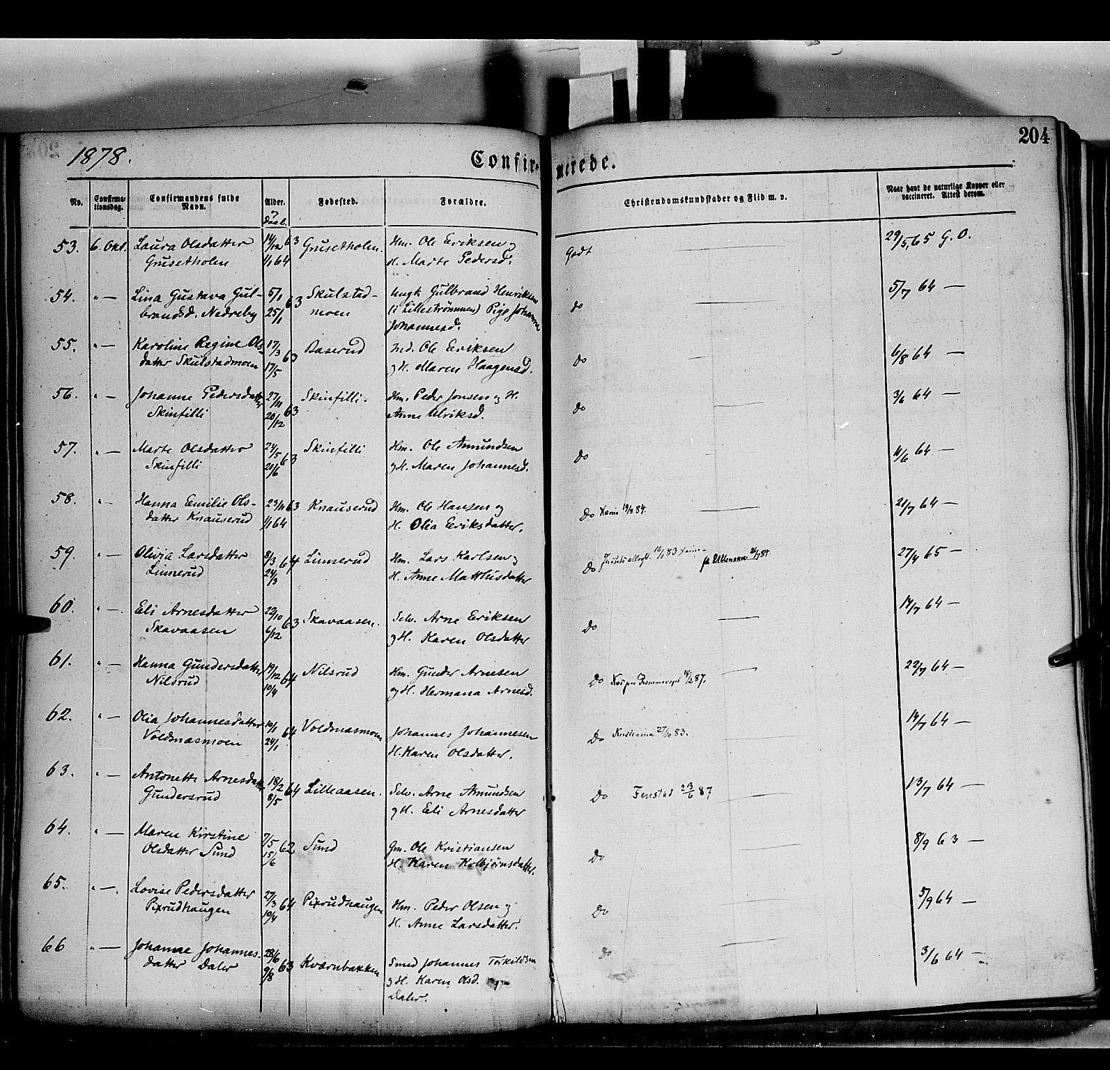 Grue prestekontor, AV/SAH-PREST-036/H/Ha/Haa/L0011: Parish register (official) no. 11, 1873-1880, p. 204