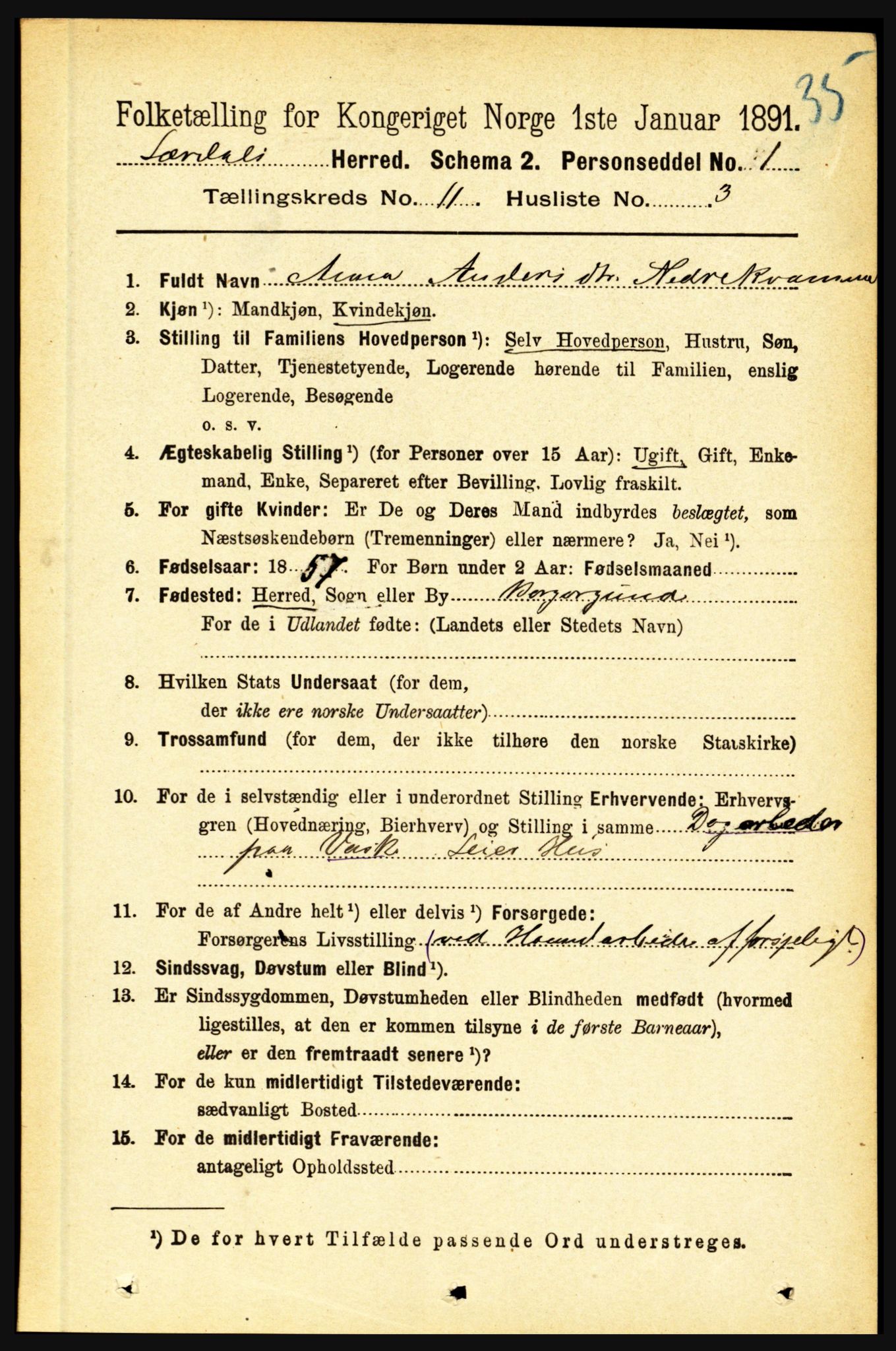 RA, 1891 census for 1422 Lærdal, 1891, p. 2171