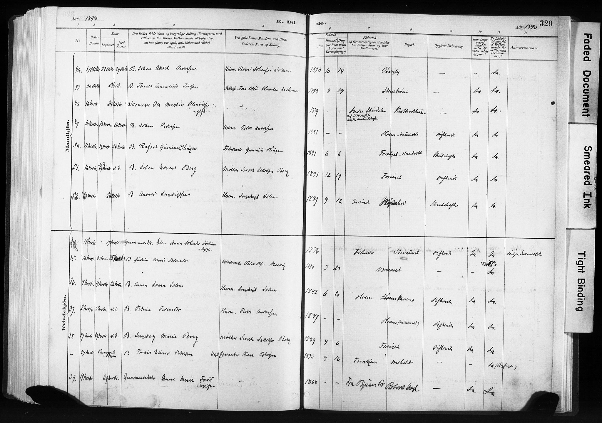 Ministerialprotokoller, klokkerbøker og fødselsregistre - Sør-Trøndelag, AV/SAT-A-1456/606/L0300: Parish register (official) no. 606A15, 1886-1893, p. 329