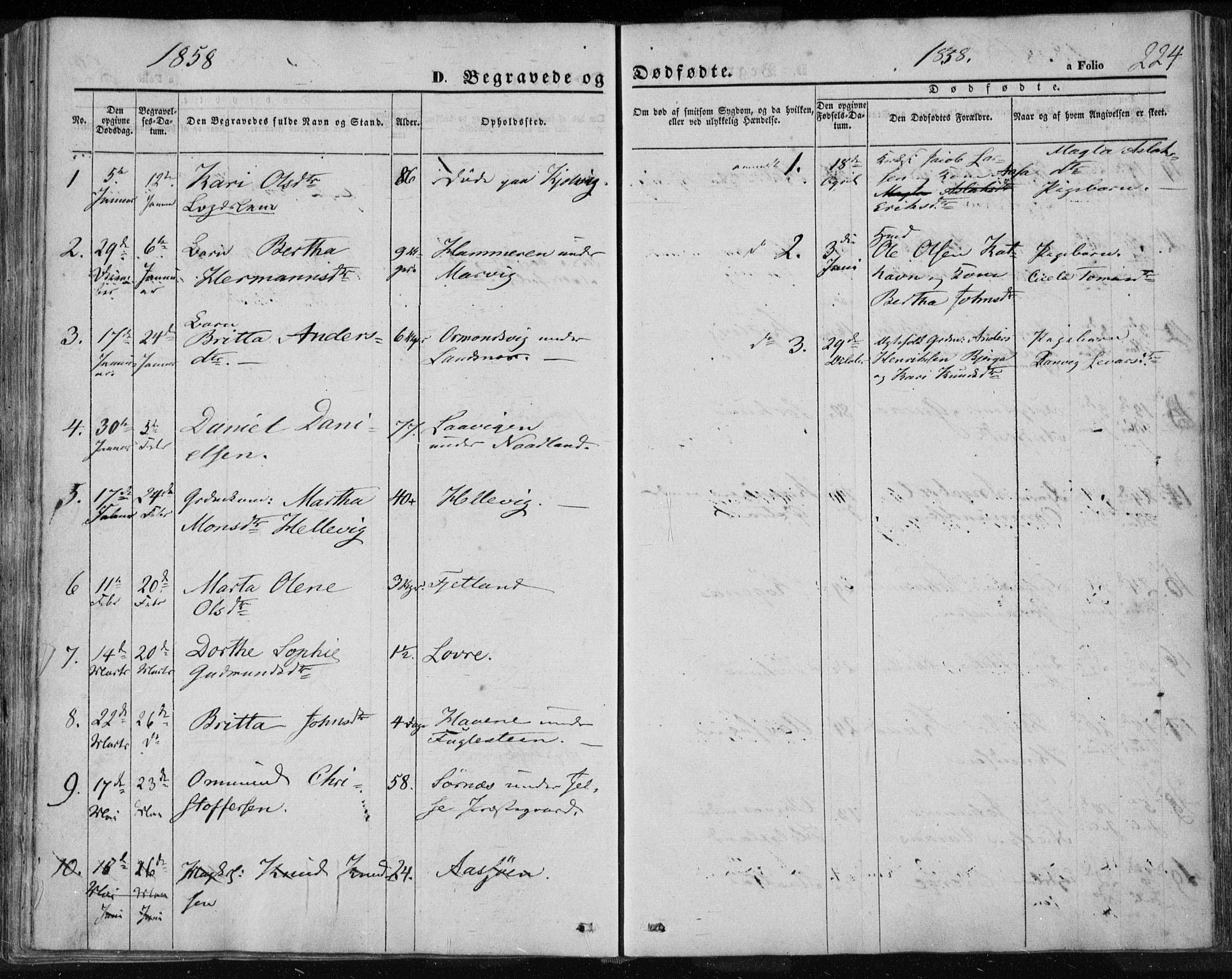 Jelsa sokneprestkontor, SAST/A-101842/01/IV: Parish register (official) no. A 7, 1854-1866, p. 224