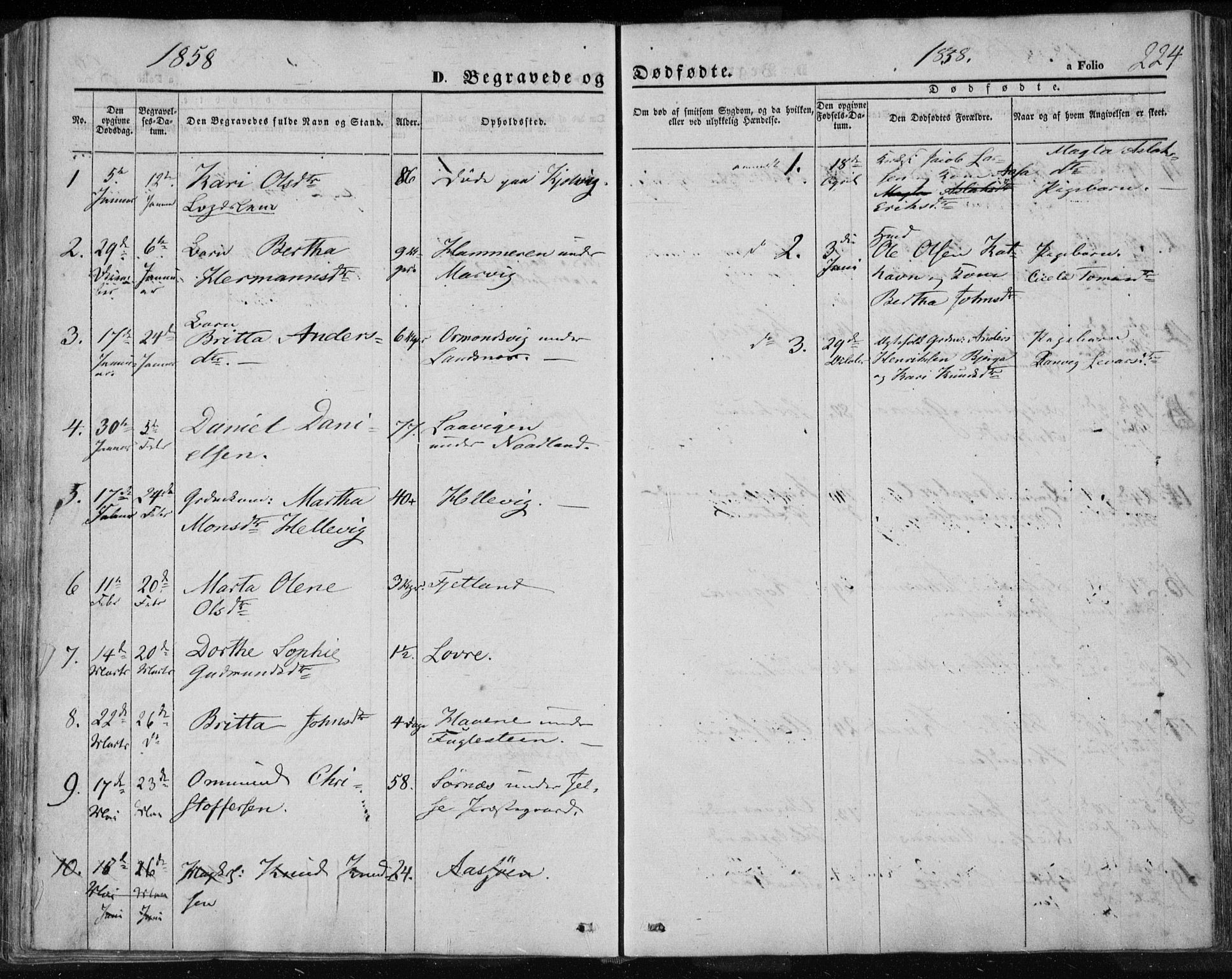 Jelsa sokneprestkontor, AV/SAST-A-101842/01/IV/L0007: Parish register (official) no. A 7, 1854-1866, p. 224