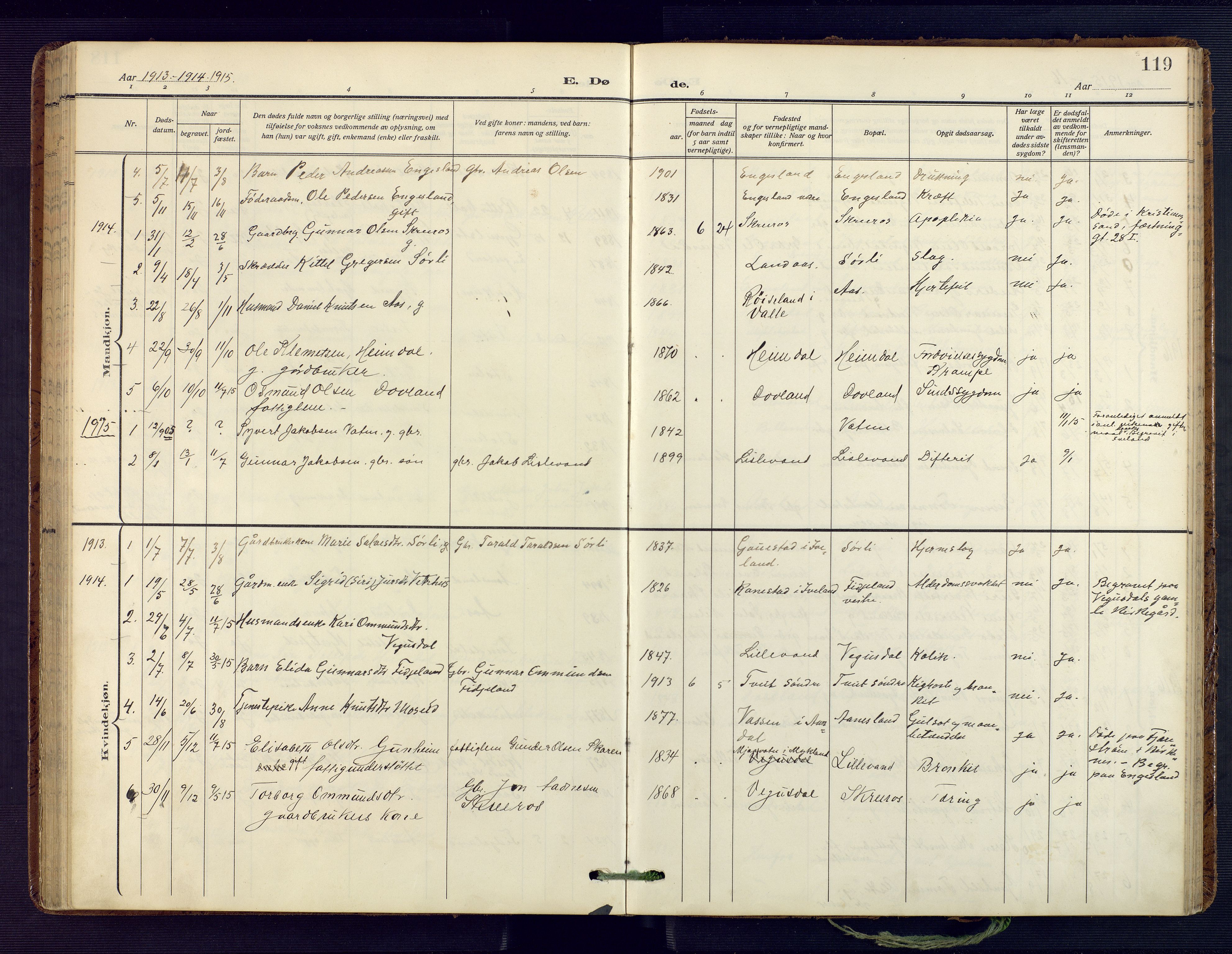 Herefoss sokneprestkontor, SAK/1111-0019/F/Fa/Fab/L0005: Parish register (official) no. A 5, 1910-1932, p. 119