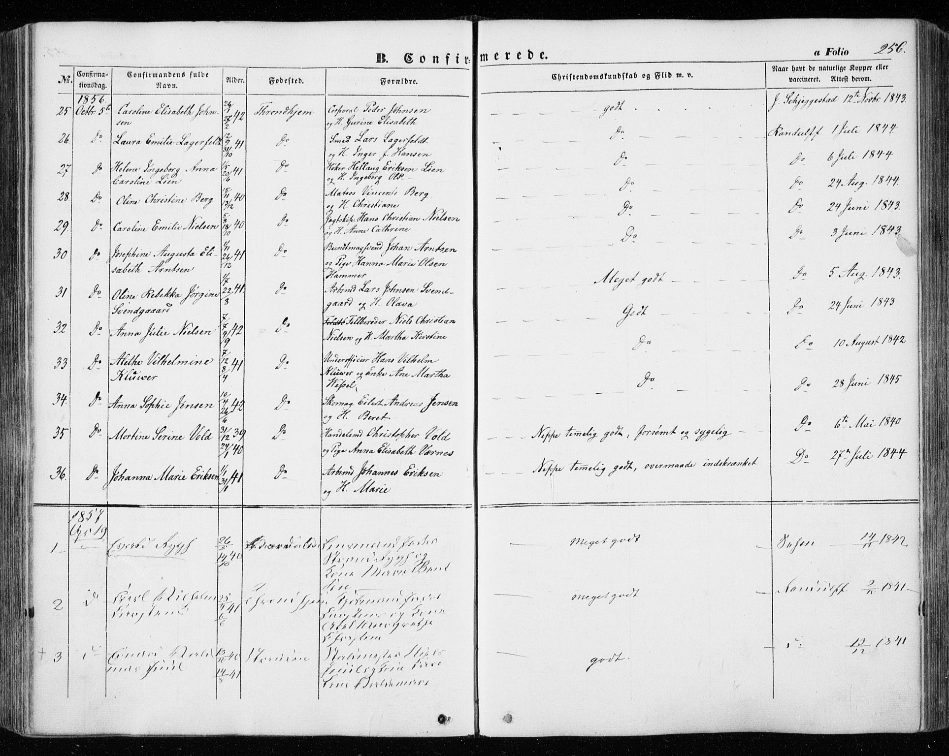 Ministerialprotokoller, klokkerbøker og fødselsregistre - Sør-Trøndelag, SAT/A-1456/601/L0051: Parish register (official) no. 601A19, 1848-1857, p. 256