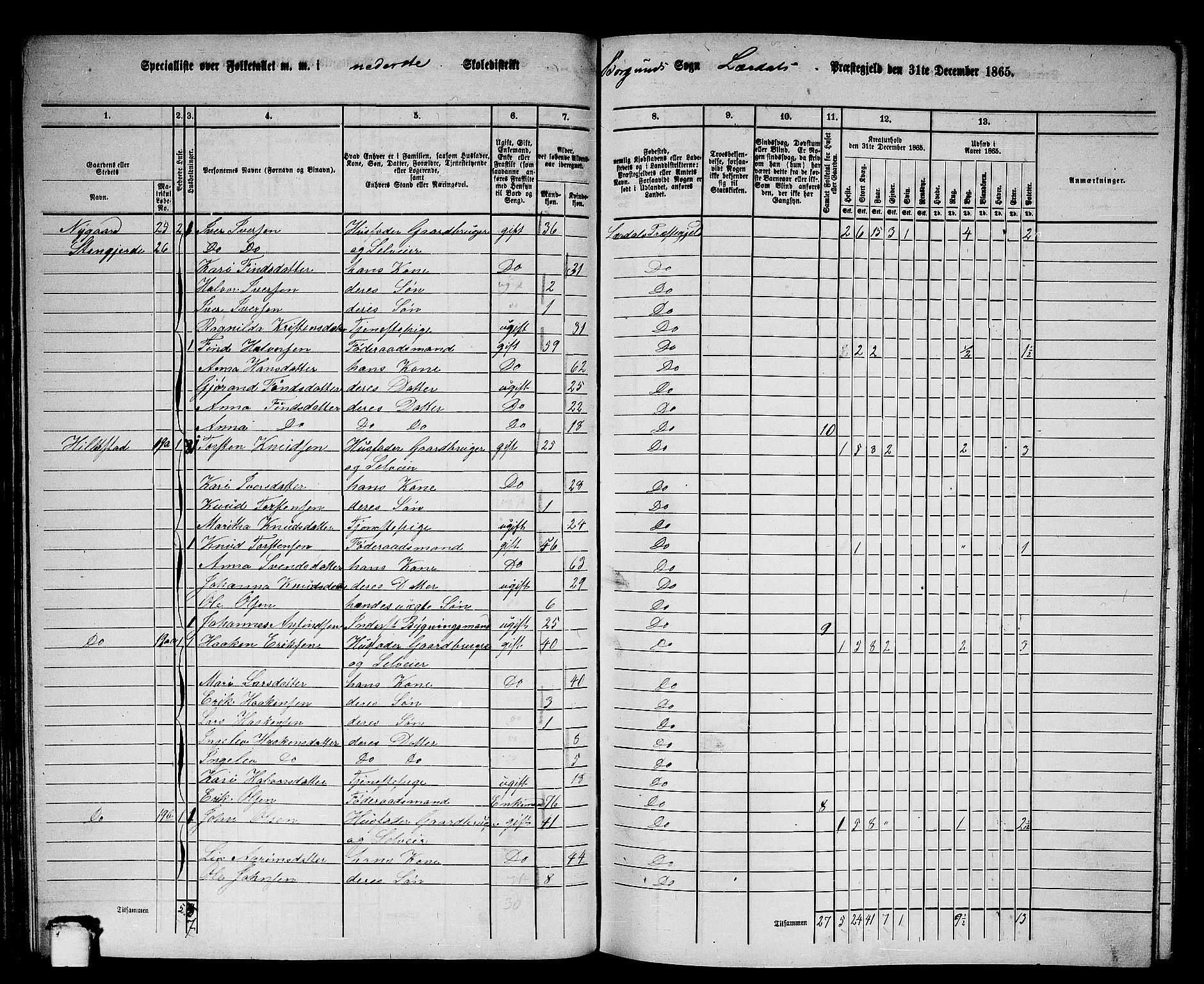 RA, 1865 census for Lærdal, 1865, p. 49