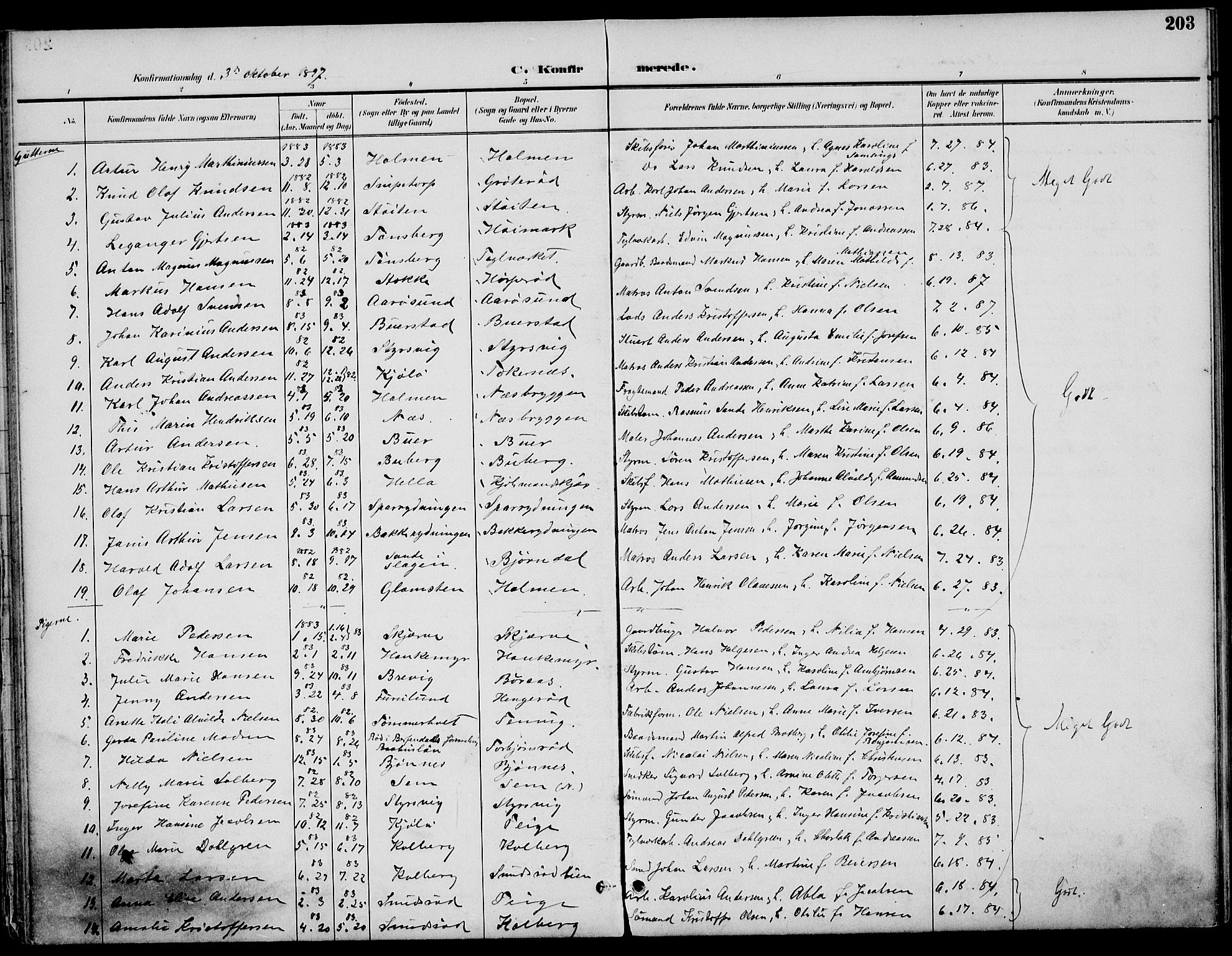 Nøtterøy kirkebøker, SAKO/A-354/F/Fa/L0009: Parish register (official) no. I 9, 1894-1907, p. 203