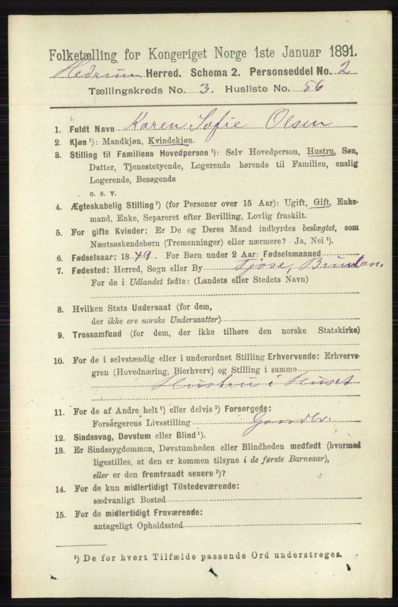 RA, 1891 census for 0727 Hedrum, 1891, p. 1295