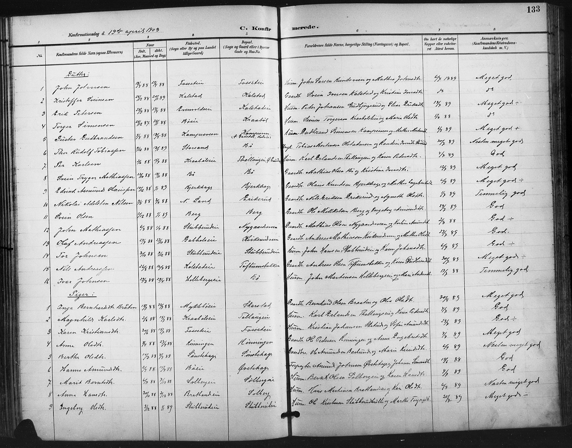 Vestre Gausdal prestekontor, SAH/PREST-094/H/Ha/Hab/L0003: Parish register (copy) no. 3, 1896-1925, p. 133