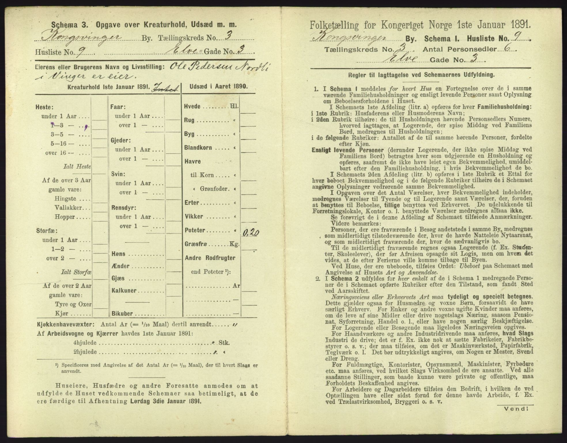 RA, 1891 census for 0402 Kongsvinger, 1891, p. 219