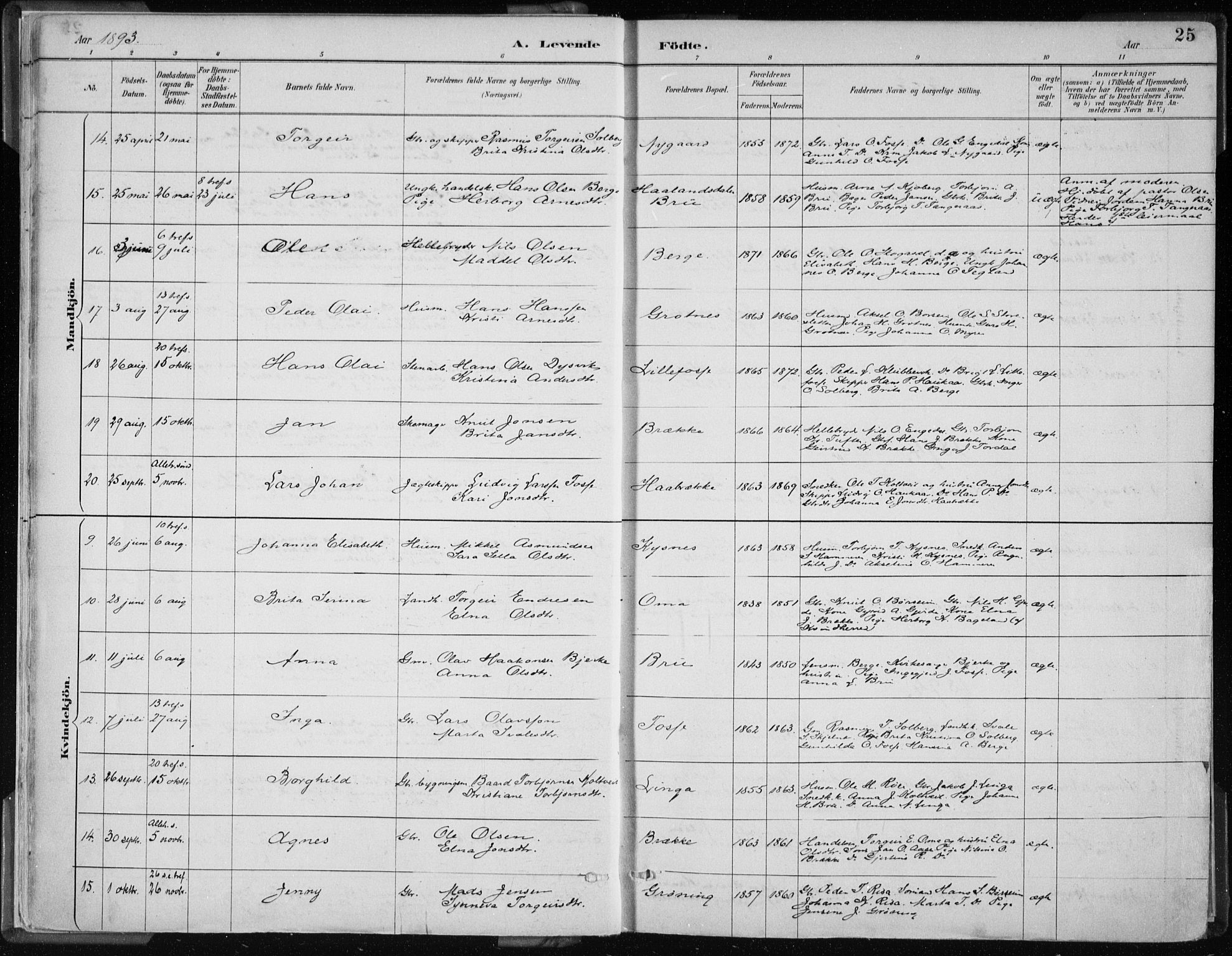 Strandebarm sokneprestembete, AV/SAB-A-78401/H/Haa: Parish register (official) no. B  1, 1886-1908, p. 25