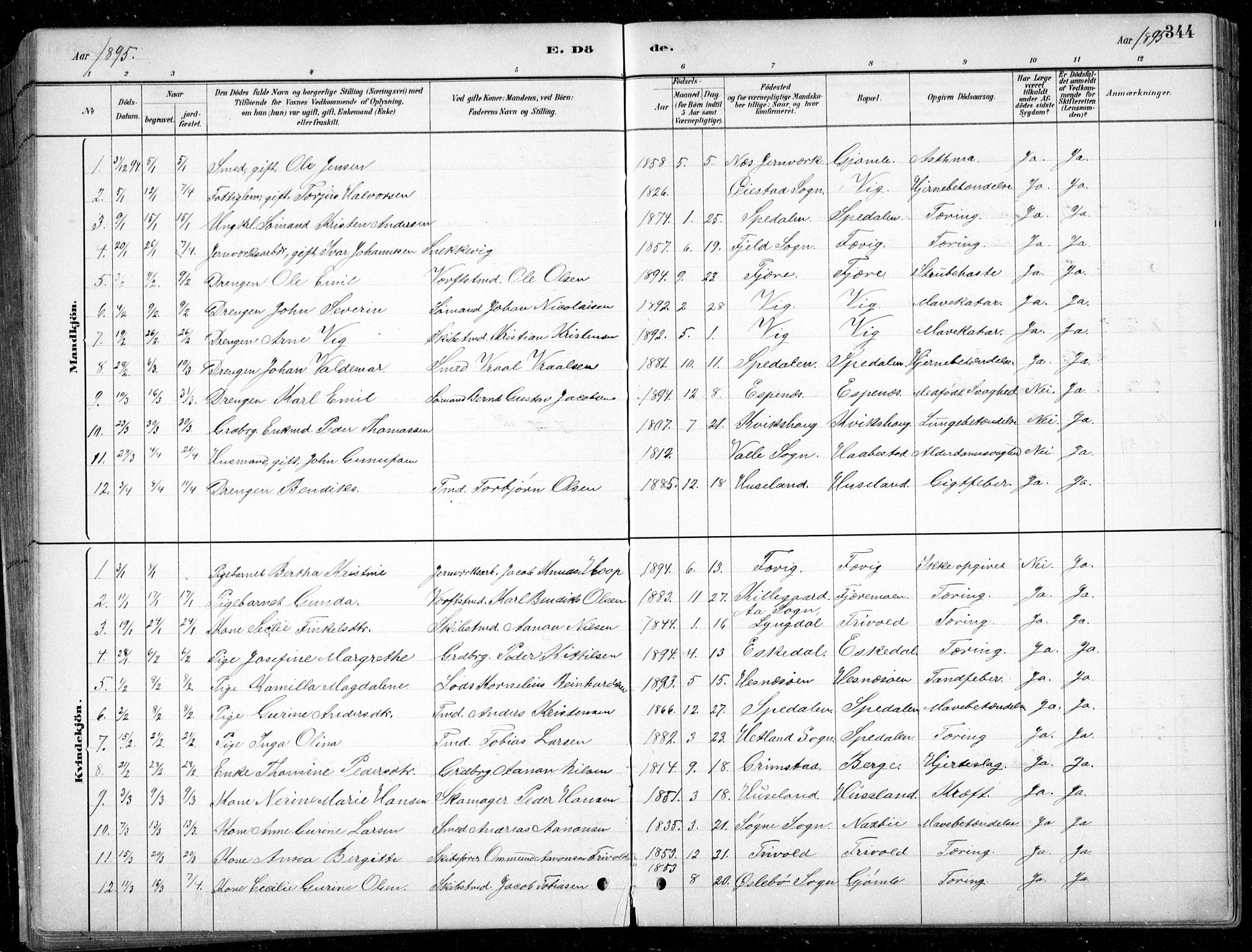 Fjære sokneprestkontor, SAK/1111-0011/F/Fb/L0011: Parish register (copy) no. B 11, 1881-1905, p. 344
