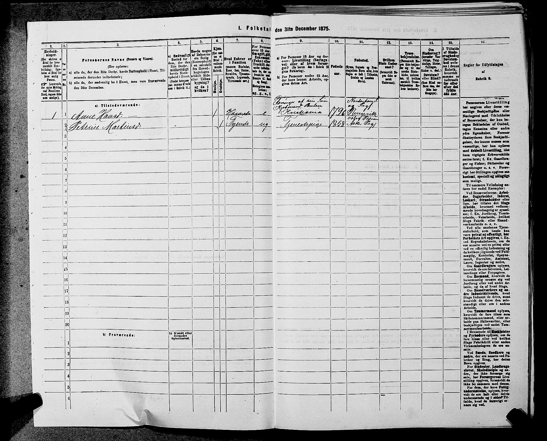 RA, 1875 census for 0220P Asker, 1875, p. 1435