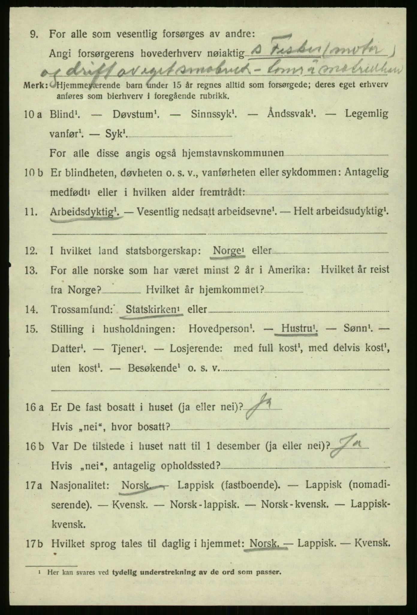 SATØ, 1920 census for Nordreisa, 1920, p. 1250