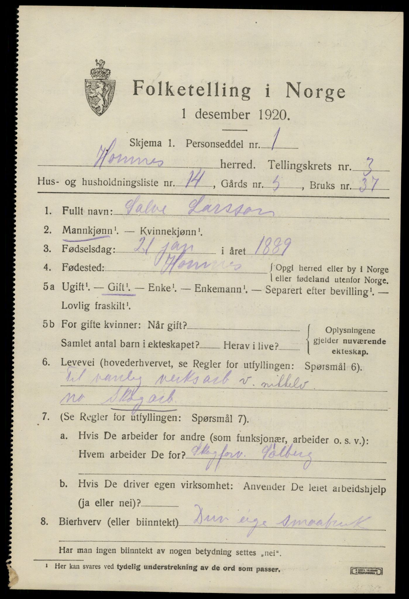 SAK, 1920 census for Hornnes, 1920, p. 963