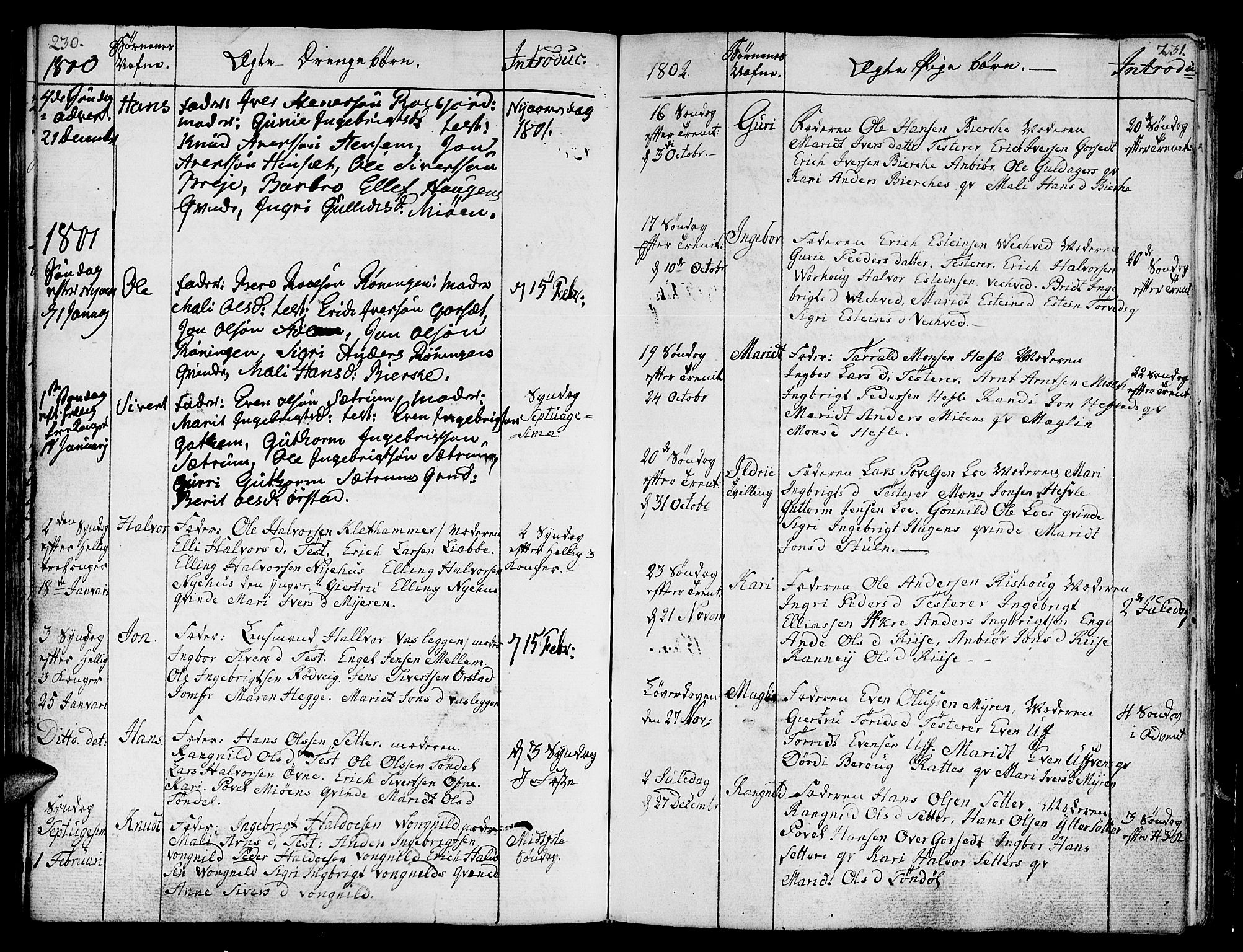 Ministerialprotokoller, klokkerbøker og fødselsregistre - Sør-Trøndelag, SAT/A-1456/678/L0893: Parish register (official) no. 678A03, 1792-1805, p. 230-231