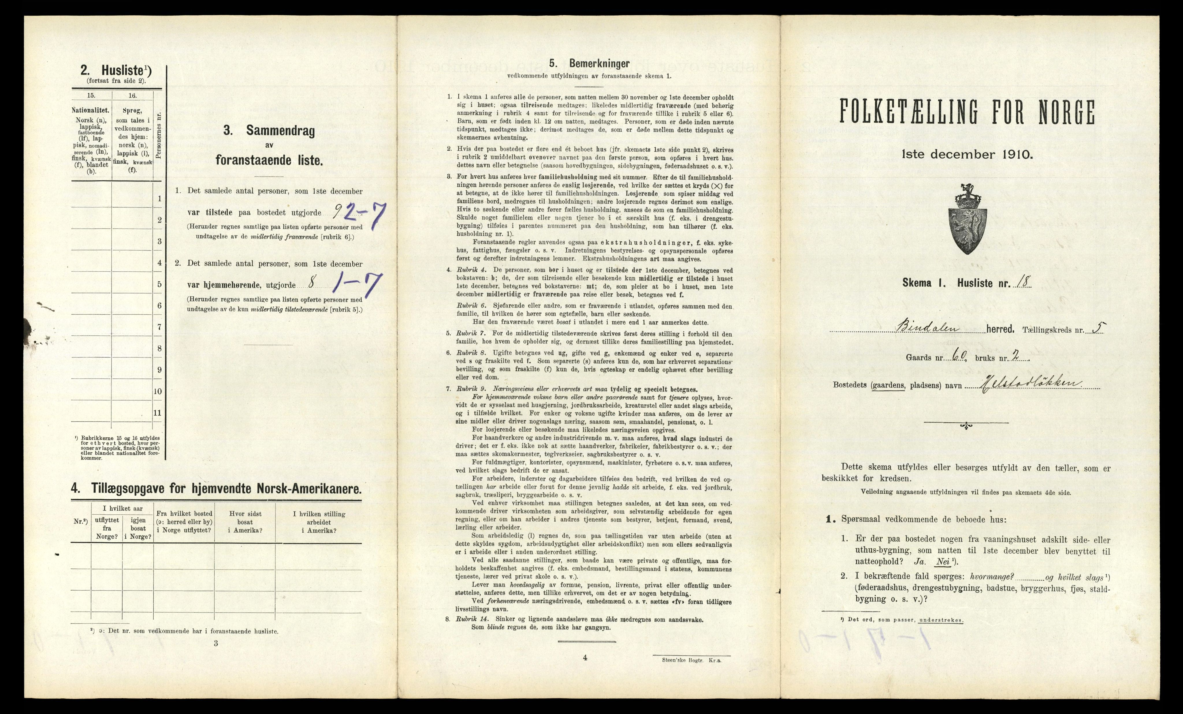 RA, 1910 census for Bindal, 1910, p. 460