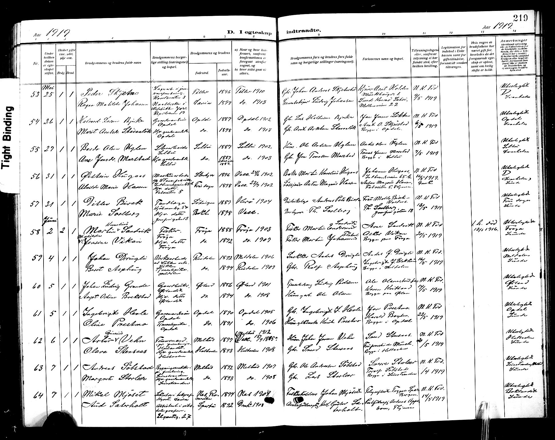 Ministerialprotokoller, klokkerbøker og fødselsregistre - Sør-Trøndelag, AV/SAT-A-1456/601/L0097: Parish register (copy) no. 601C15, 1911-1921, p. 219