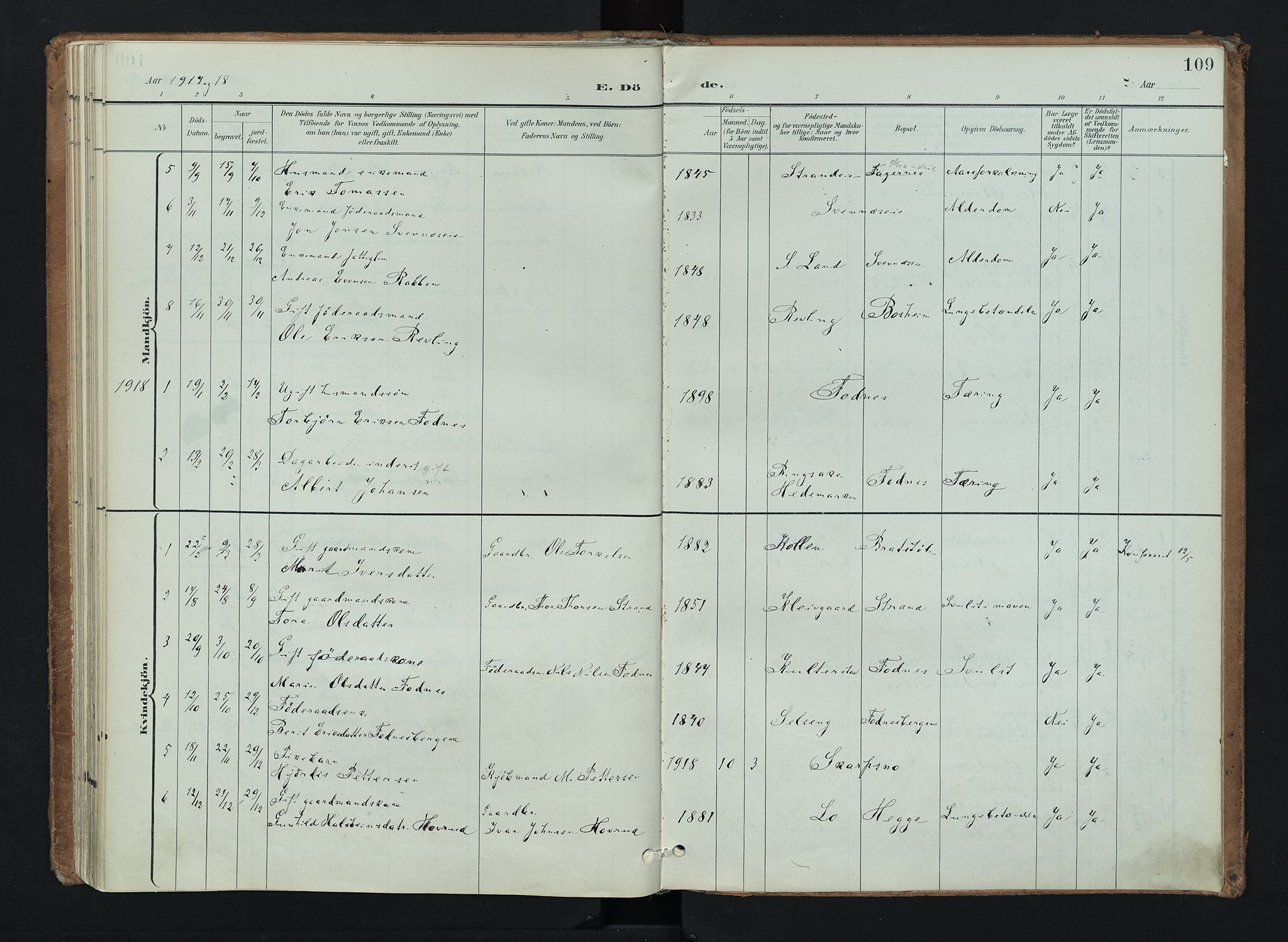 Nord-Aurdal prestekontor, AV/SAH-PREST-132/H/Ha/Haa/L0016: Parish register (official) no. 16, 1897-1925, p. 109