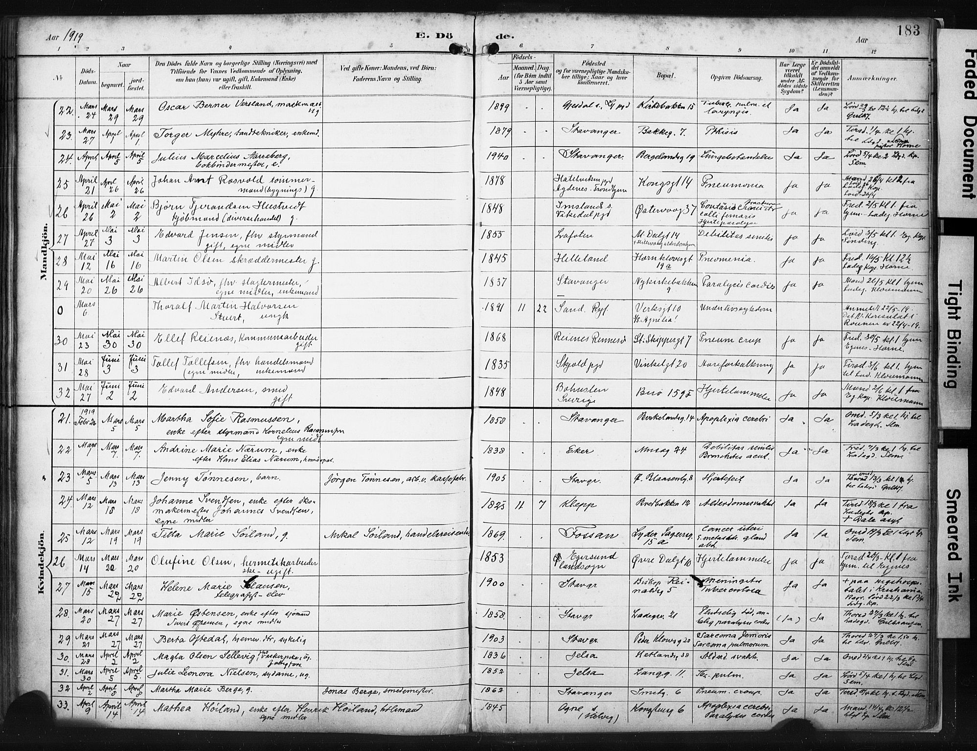 St. Petri sokneprestkontor, AV/SAST-A-101813/001/30/30BA/L0022: Parish register (official) no. A 22, 1895-1919, p. 183