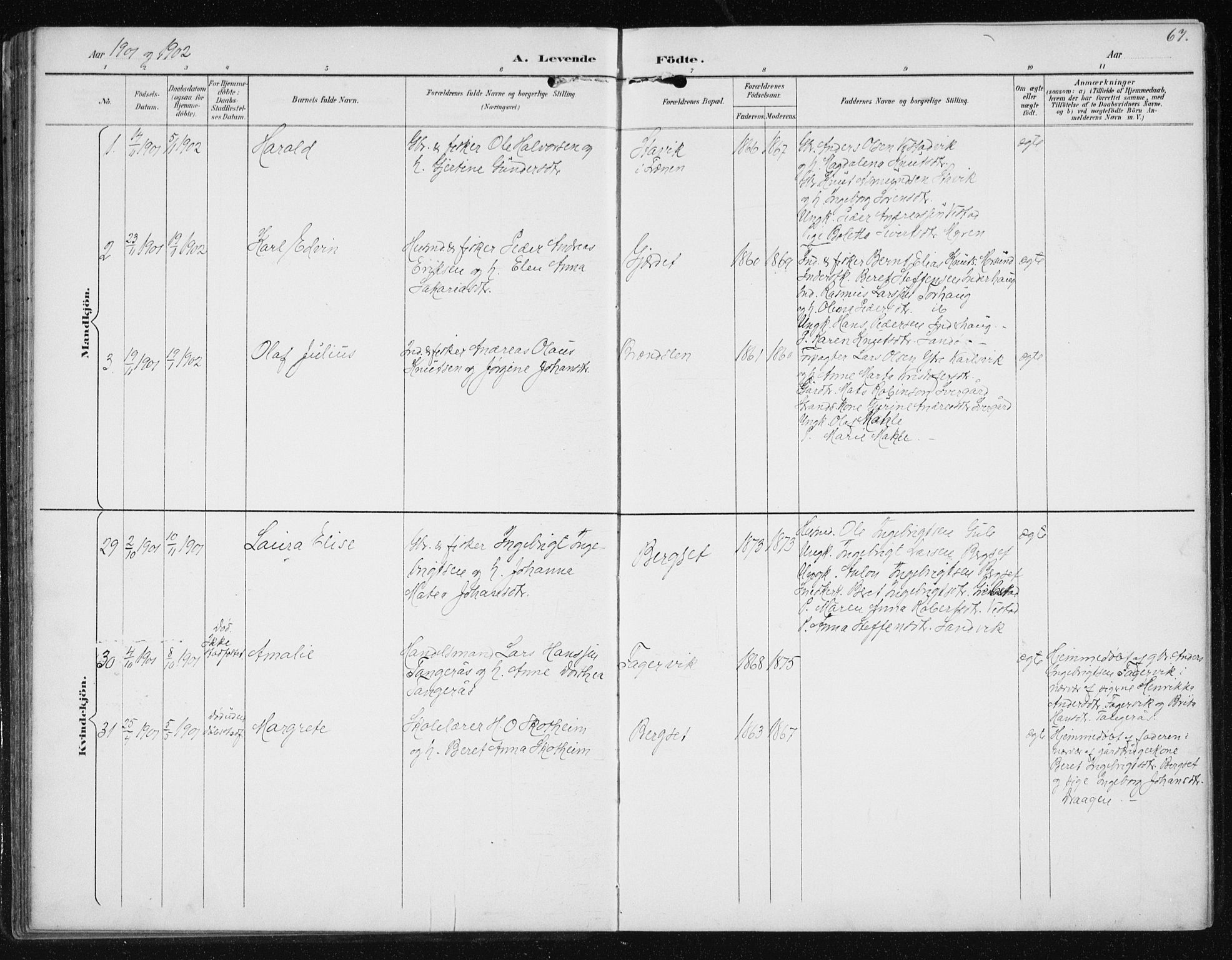 Ministerialprotokoller, klokkerbøker og fødselsregistre - Møre og Romsdal, AV/SAT-A-1454/566/L0773: Parish register (copy) no. 566C02, 1892-1909, p. 67