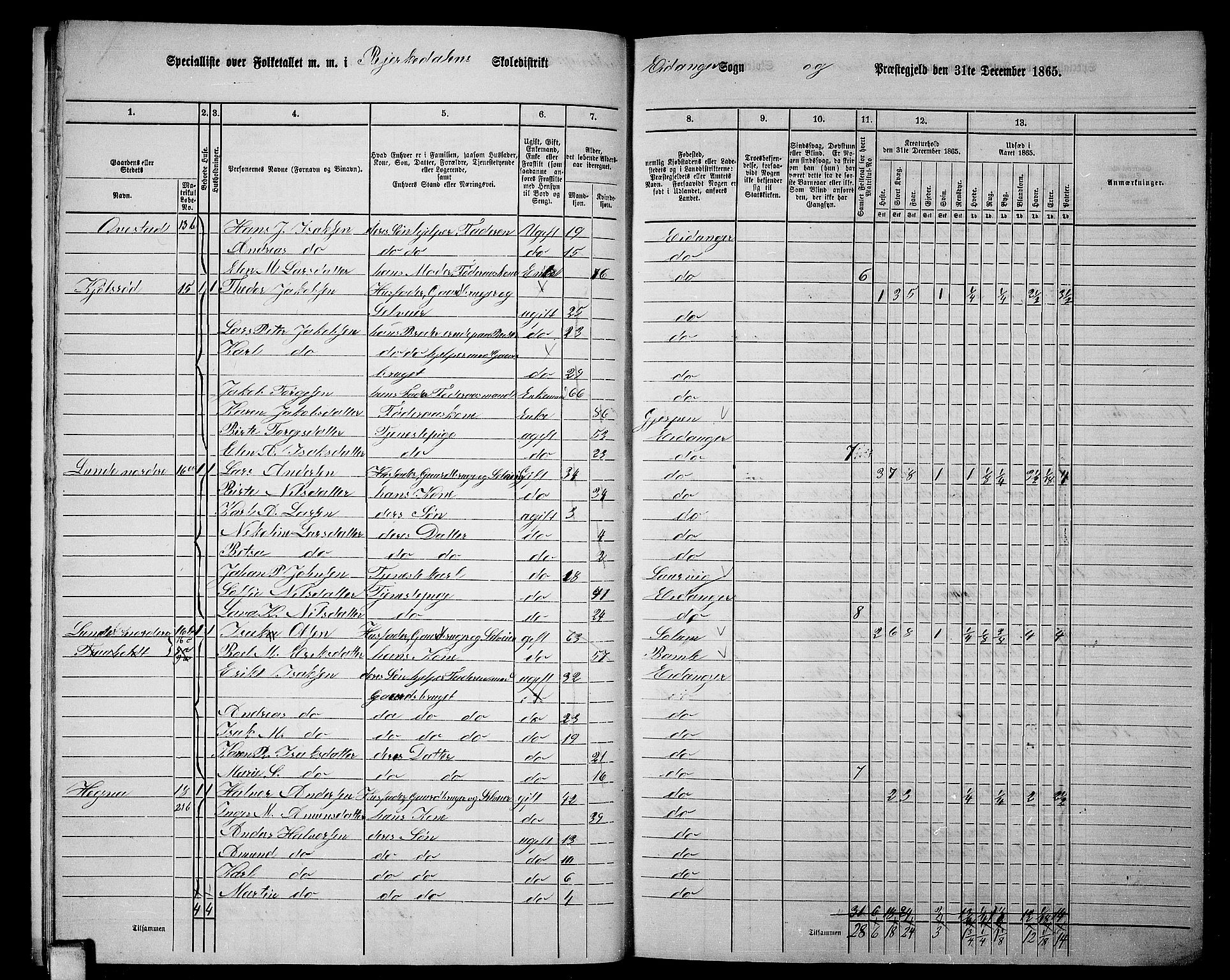 RA, 1865 census for Eidanger, 1865, p. 14