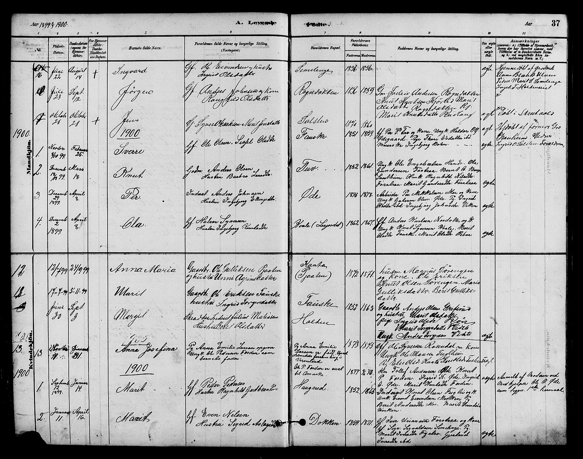 Vestre Slidre prestekontor, SAH/PREST-136/H/Ha/Hab/L0005: Parish register (copy) no. 5, 1881-1913, p. 37