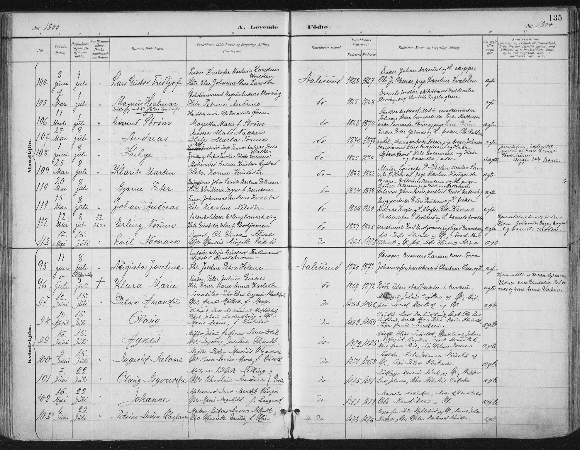 Ministerialprotokoller, klokkerbøker og fødselsregistre - Møre og Romsdal, SAT/A-1454/529/L0456: Parish register (official) no. 529A06, 1894-1906, p. 135