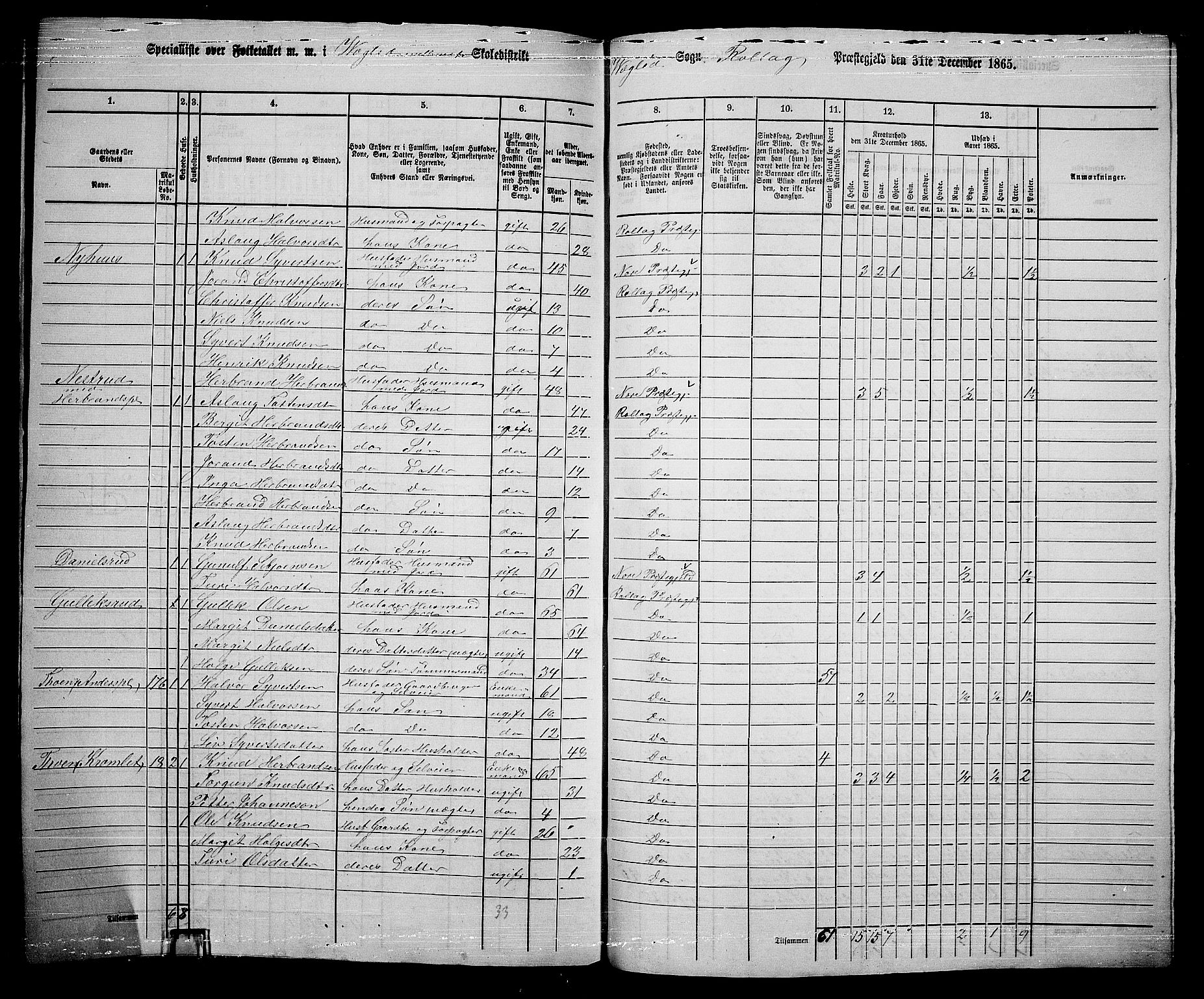 RA, 1865 census for Rollag, 1865, p. 64