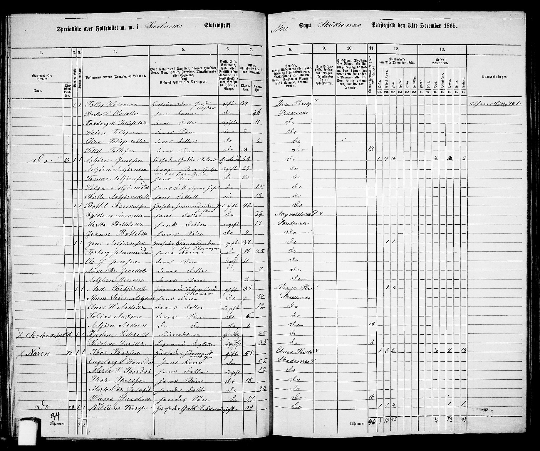 RA, 1865 census for Skudenes, 1865, p. 42