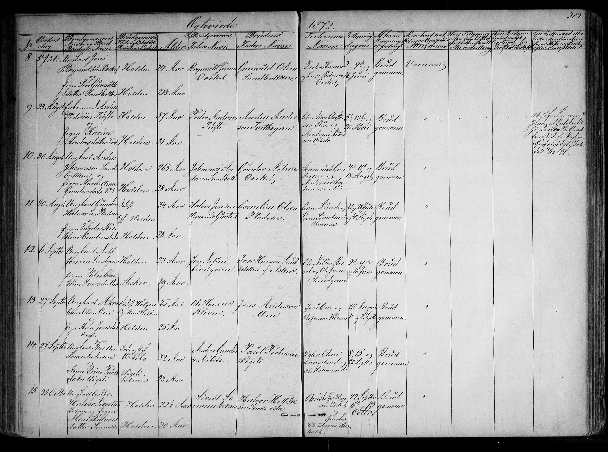 Holla kirkebøker, SAKO/A-272/G/Ga/L0004: Parish register (copy) no. I 4, 1867-1890, p. 313