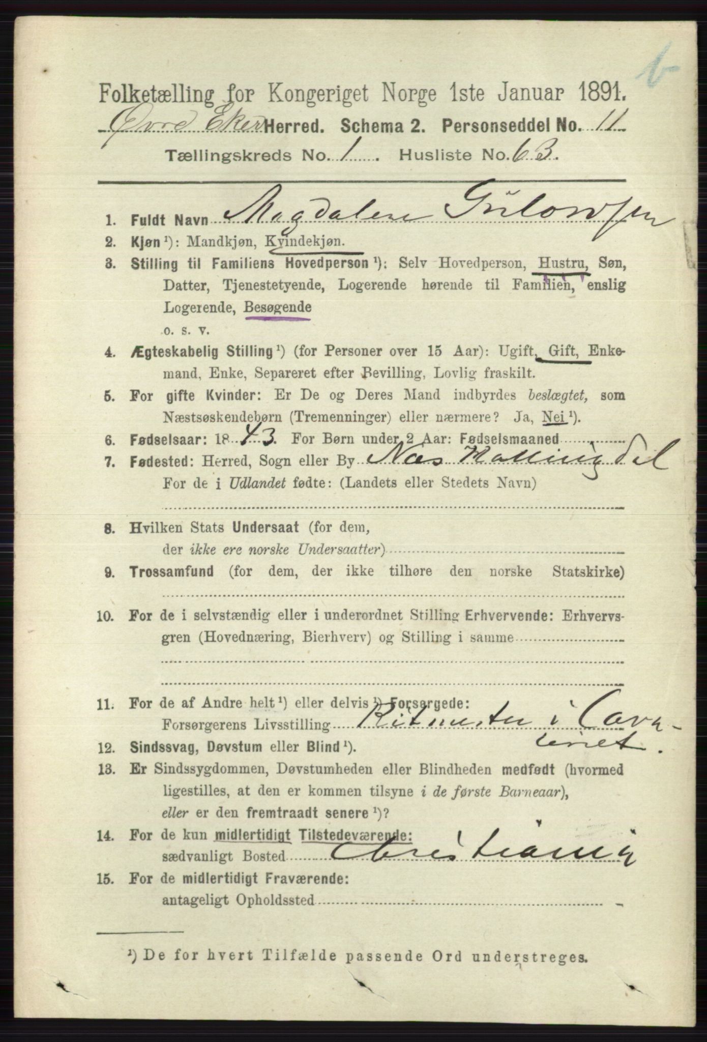 RA, 1891 census for 0624 Øvre Eiker, 1891, p. 8202