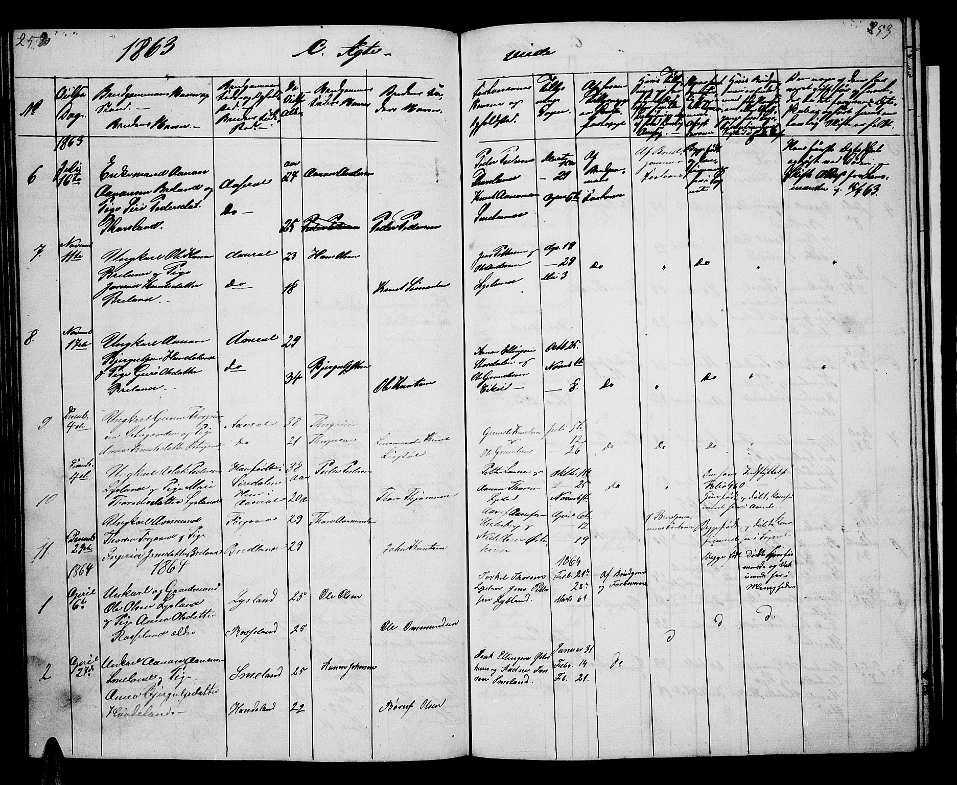 Åseral sokneprestkontor, AV/SAK-1111-0051/F/Fb/L0001: Parish register (copy) no. B 1, 1856-1877, p. 252-253