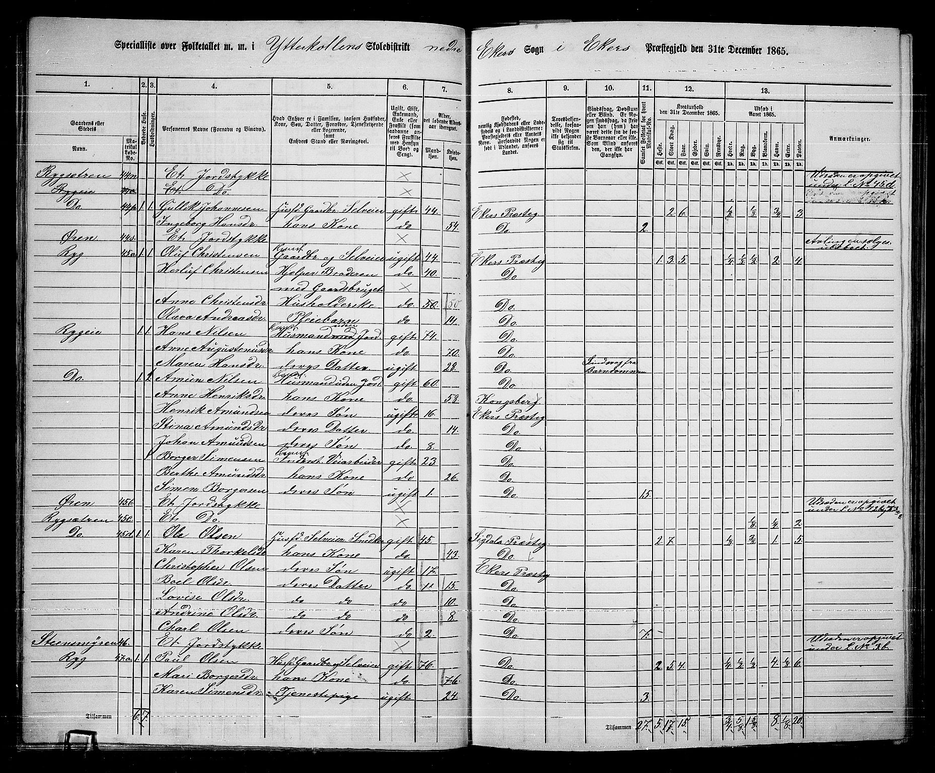 RA, 1865 census for Eiker, 1865, p. 291