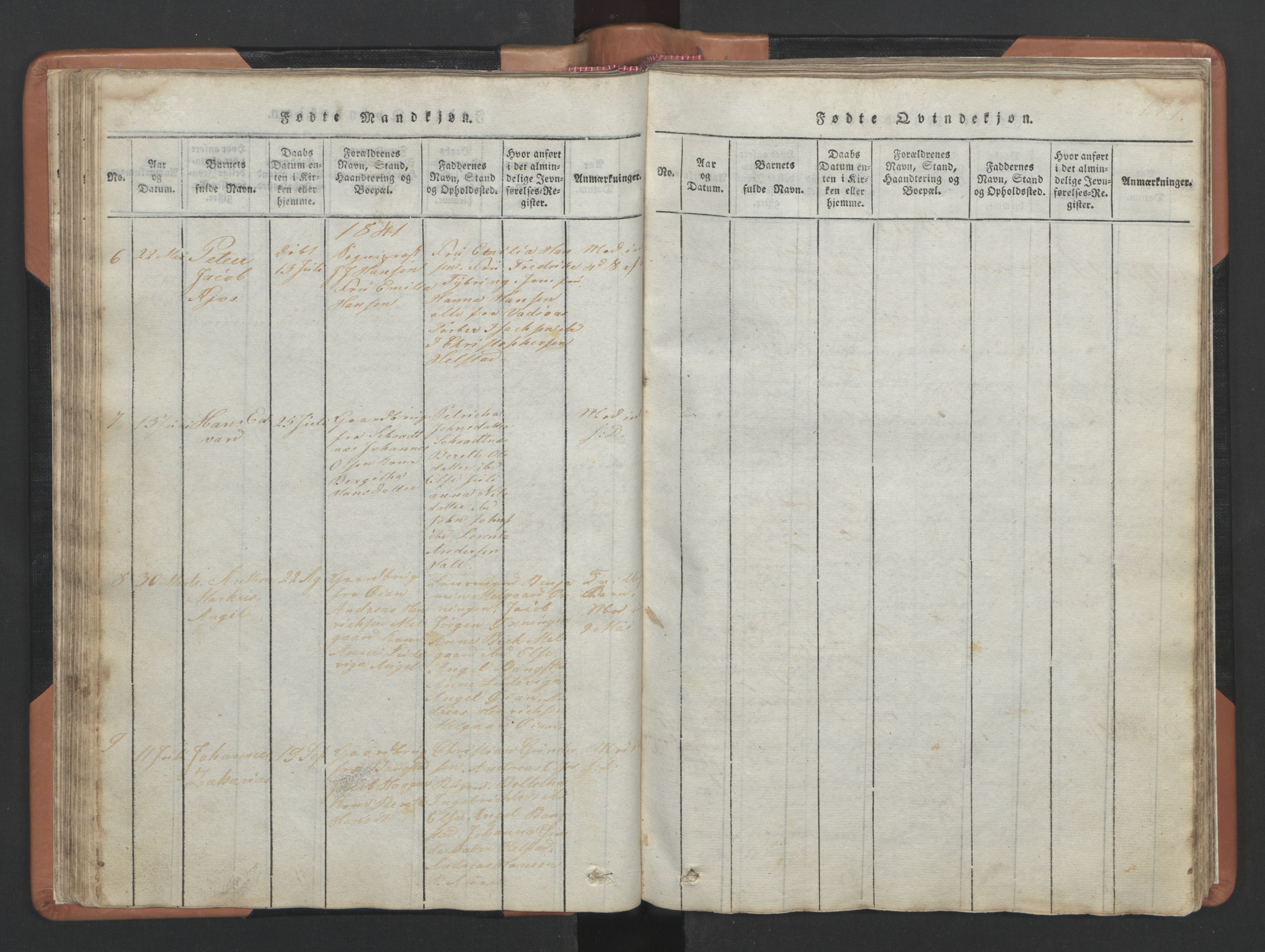 Ministerialprotokoller, klokkerbøker og fødselsregistre - Nordland, AV/SAT-A-1459/810/L0157: Parish register (copy) no. 810C01, 1819-1842, p. 176-177