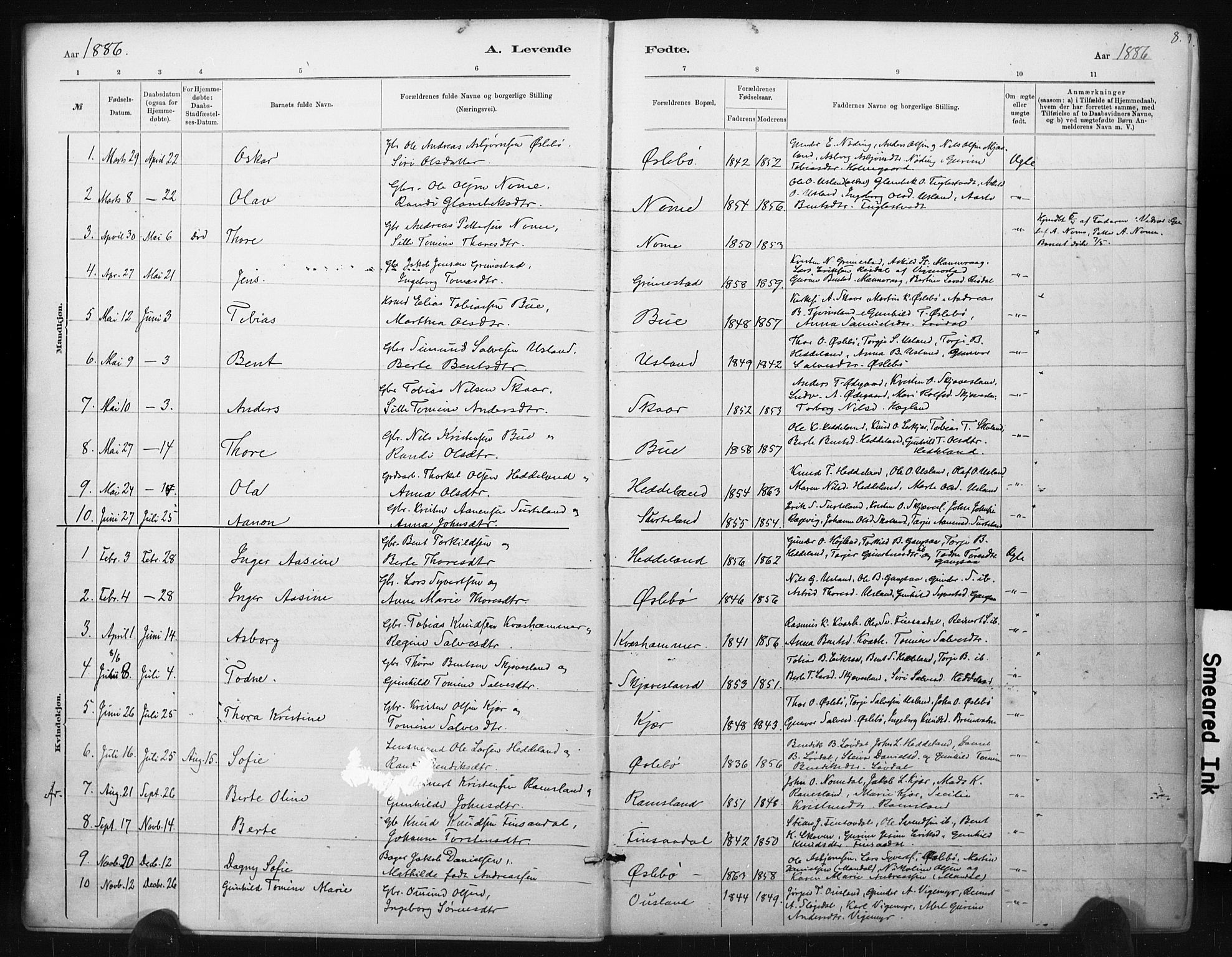 Holum sokneprestkontor, AV/SAK-1111-0022/F/Fa/Fac/L0004: Parish register (official) no. A 4, 1884-1907, p. 8