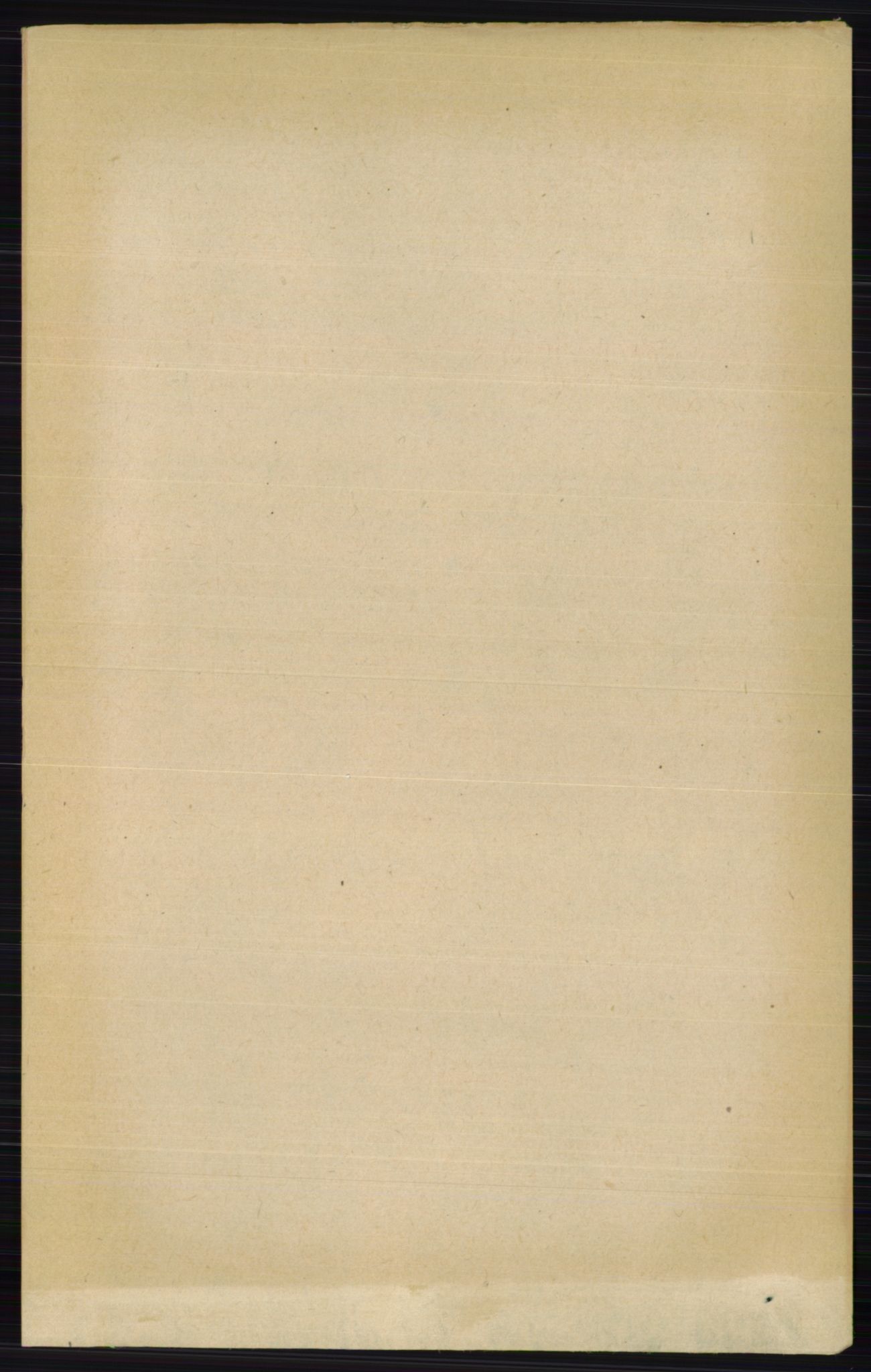 RA, 1891 census for 0412 Ringsaker, 1891, p. 4457