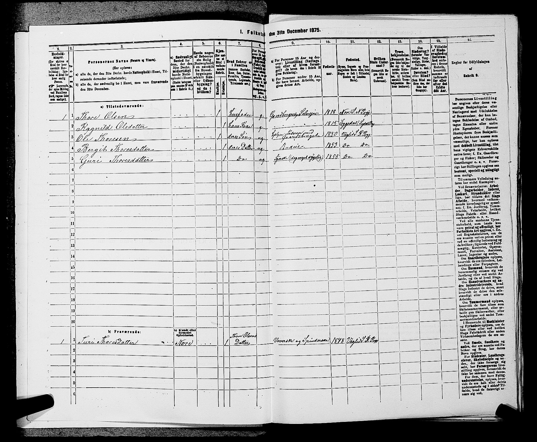 SAKO, 1875 census for 0632P Rollag, 1875, p. 133