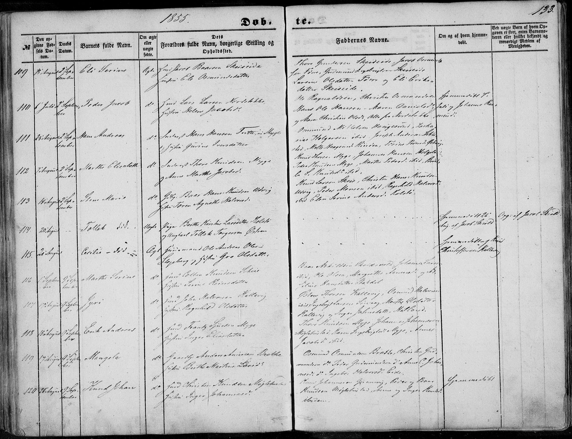 Avaldsnes sokneprestkontor, AV/SAST-A -101851/H/Ha/Haa/L0008: Parish register (official) no. A 8, 1847-1857, p. 133