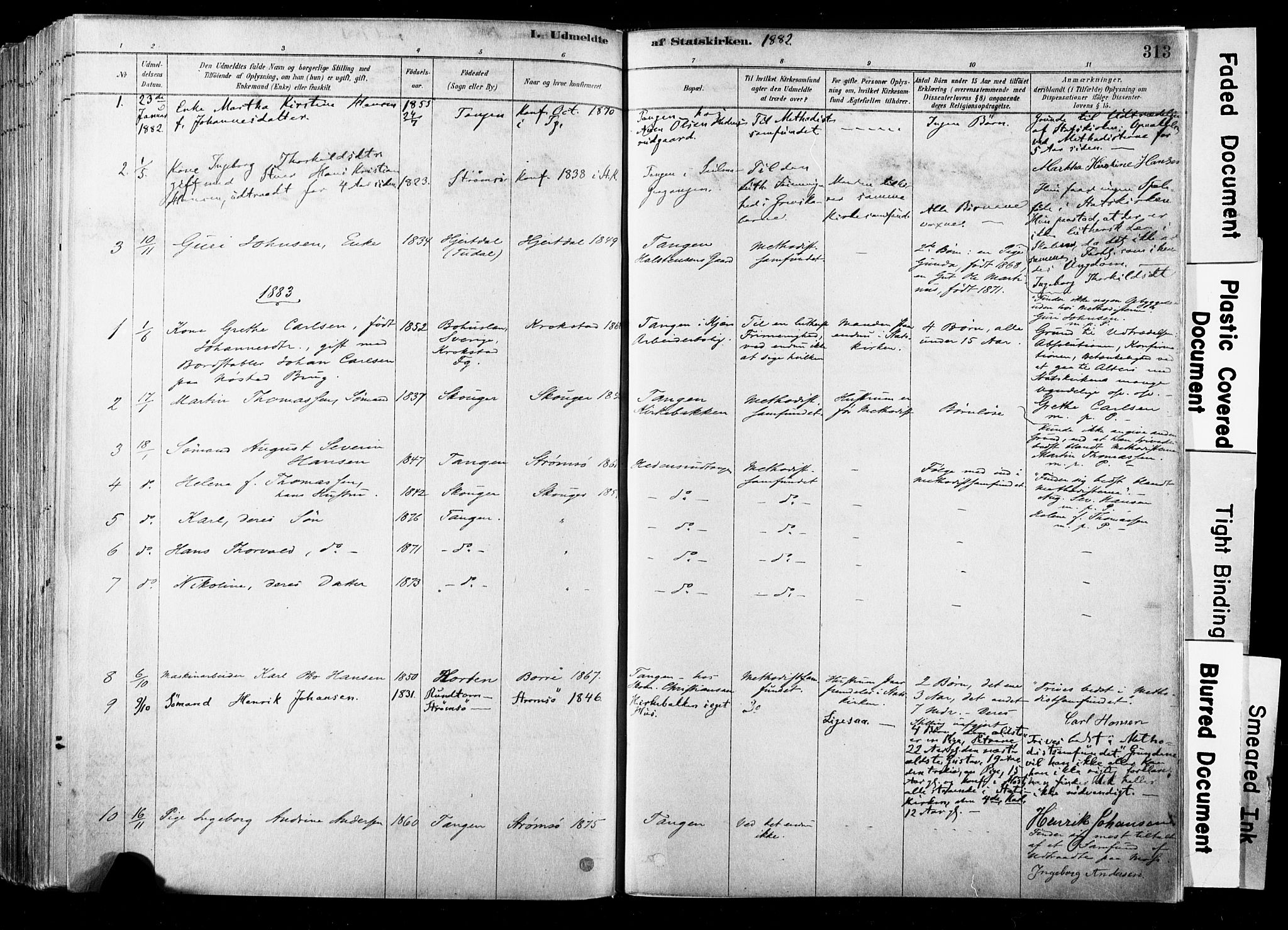 Strømsø kirkebøker, SAKO/A-246/F/Fb/L0006: Parish register (official) no. II 6, 1879-1910, p. 313